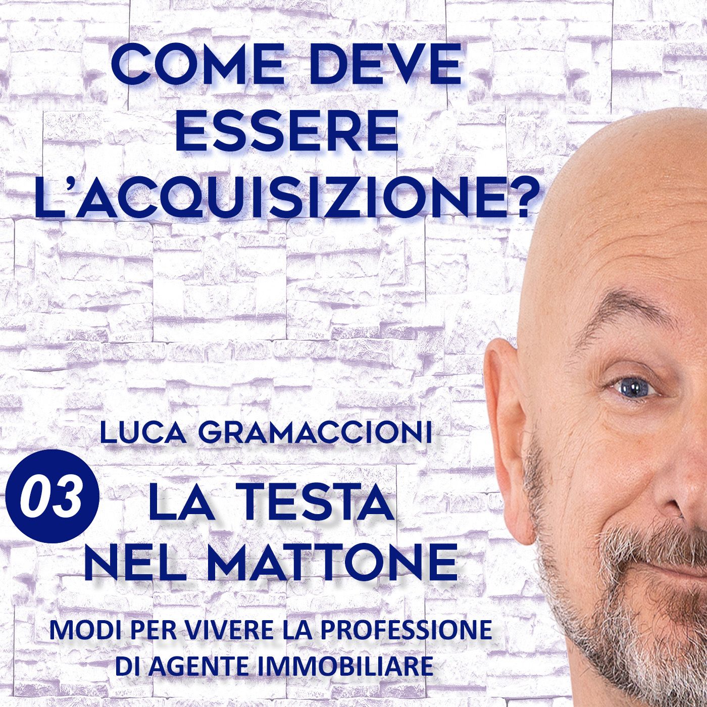 LA TESTA NEL MATTONE