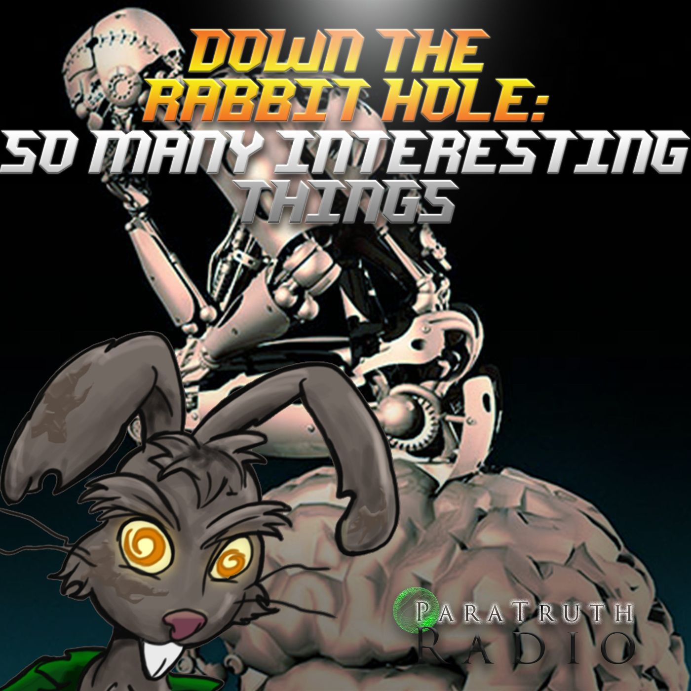 Down the Rabbit Hole: So Many Interesting Things thumbnail