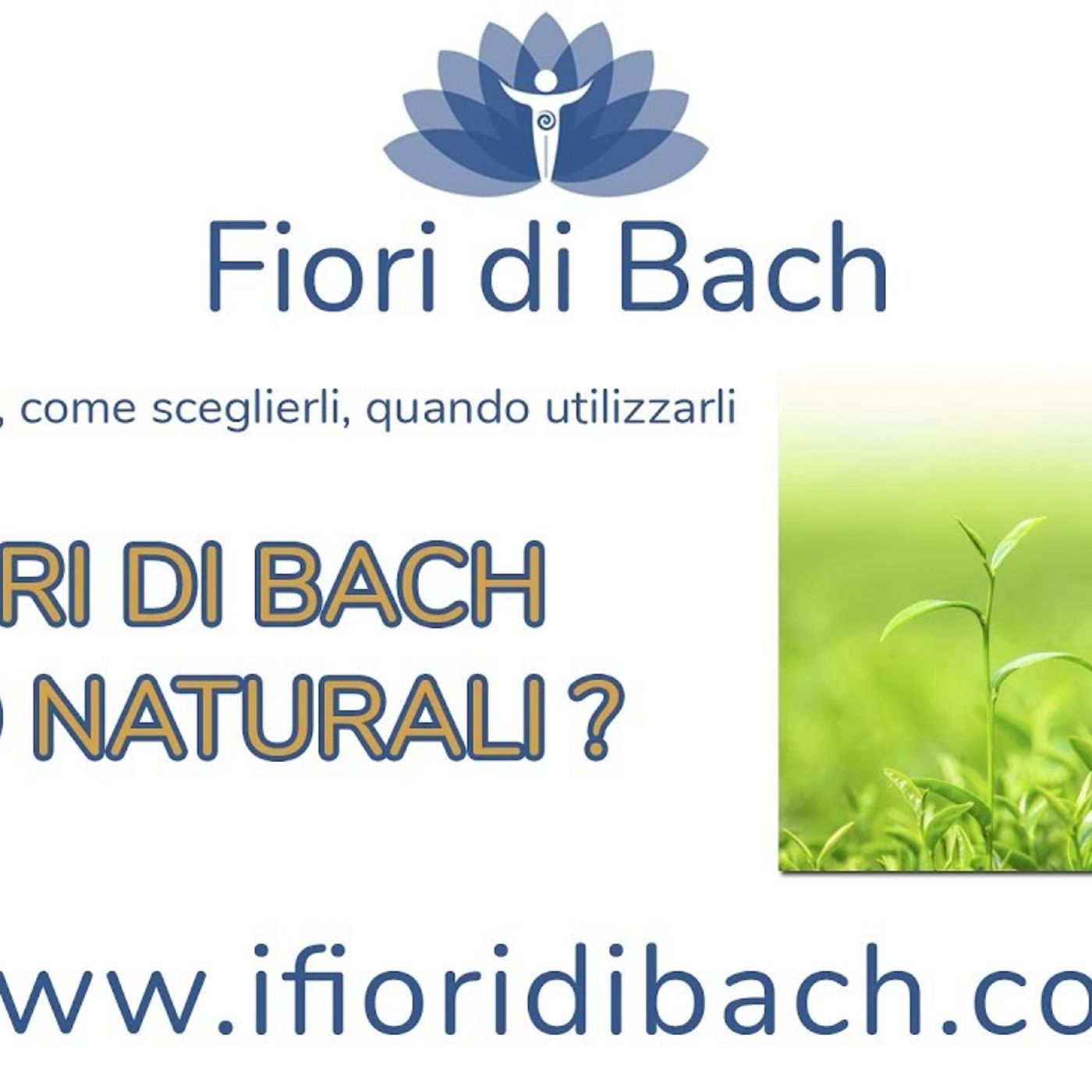 I fiori di Bach sono naturali? episode artwork