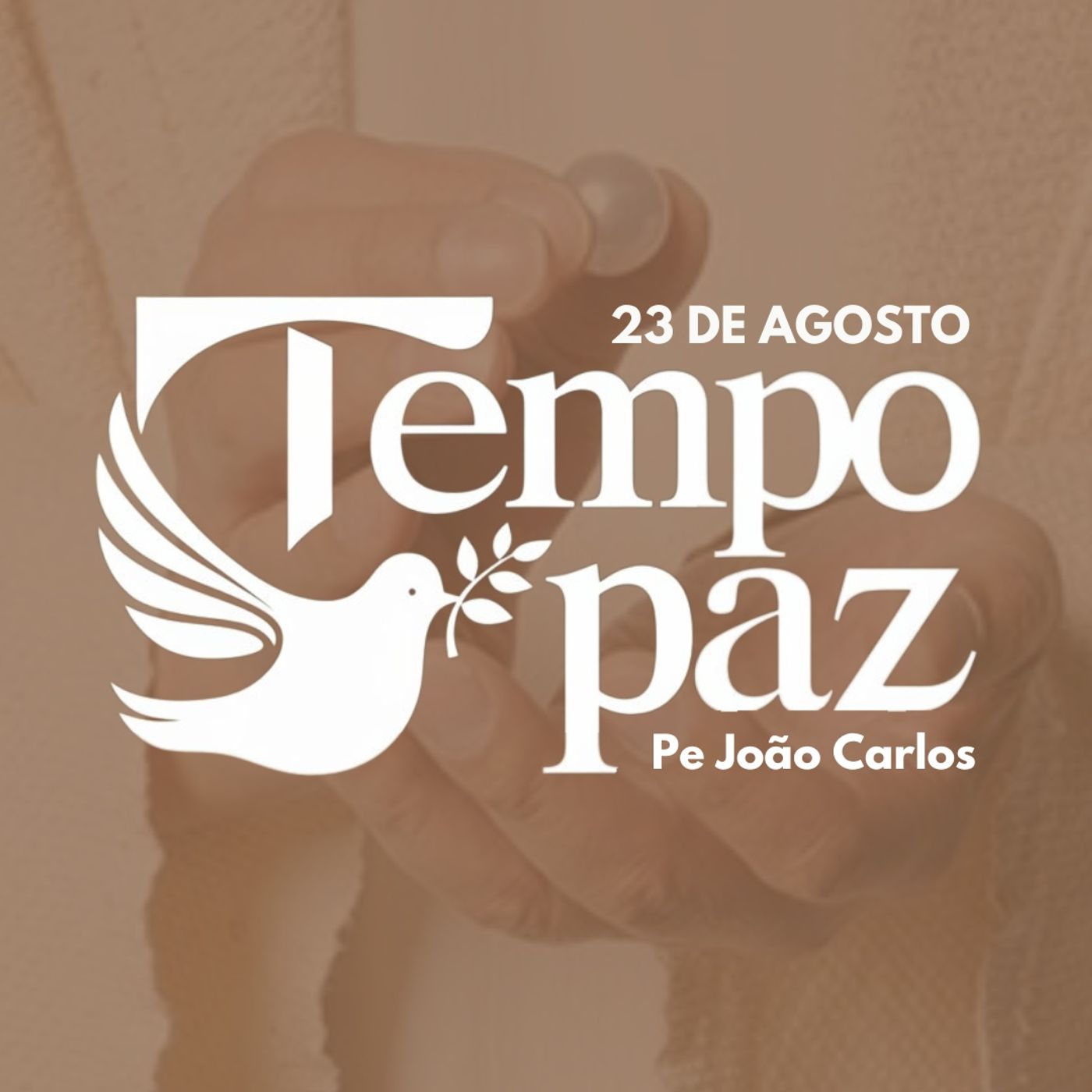 Pe. João Carlos - Meditação da Palavra