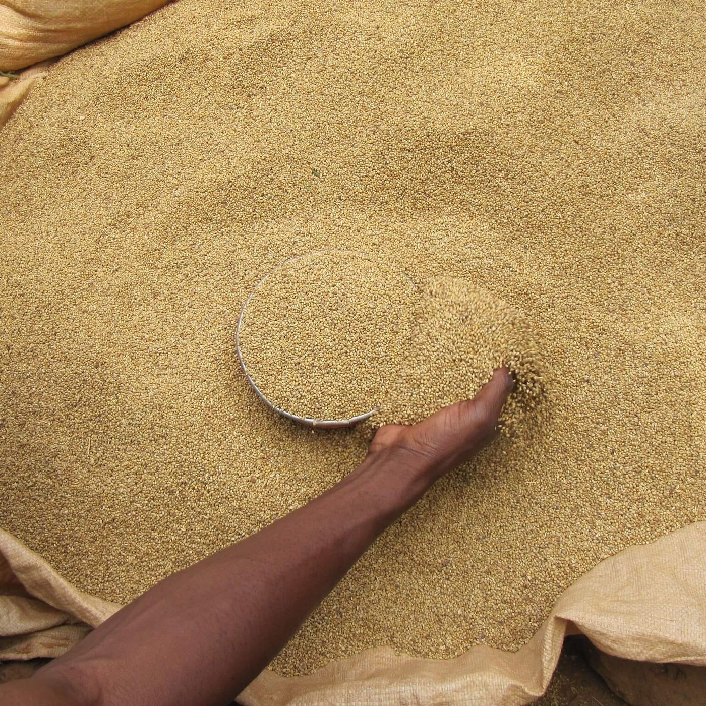 Zakat al-Fitr, Radio Scout de Niamey et transformation du soja (Le Niger sur Kalangou) episode artwork