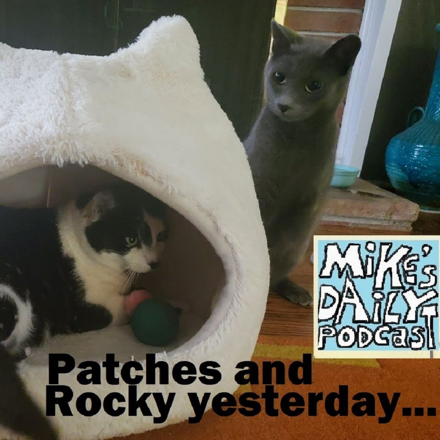 Mike\'s Daily Podcast