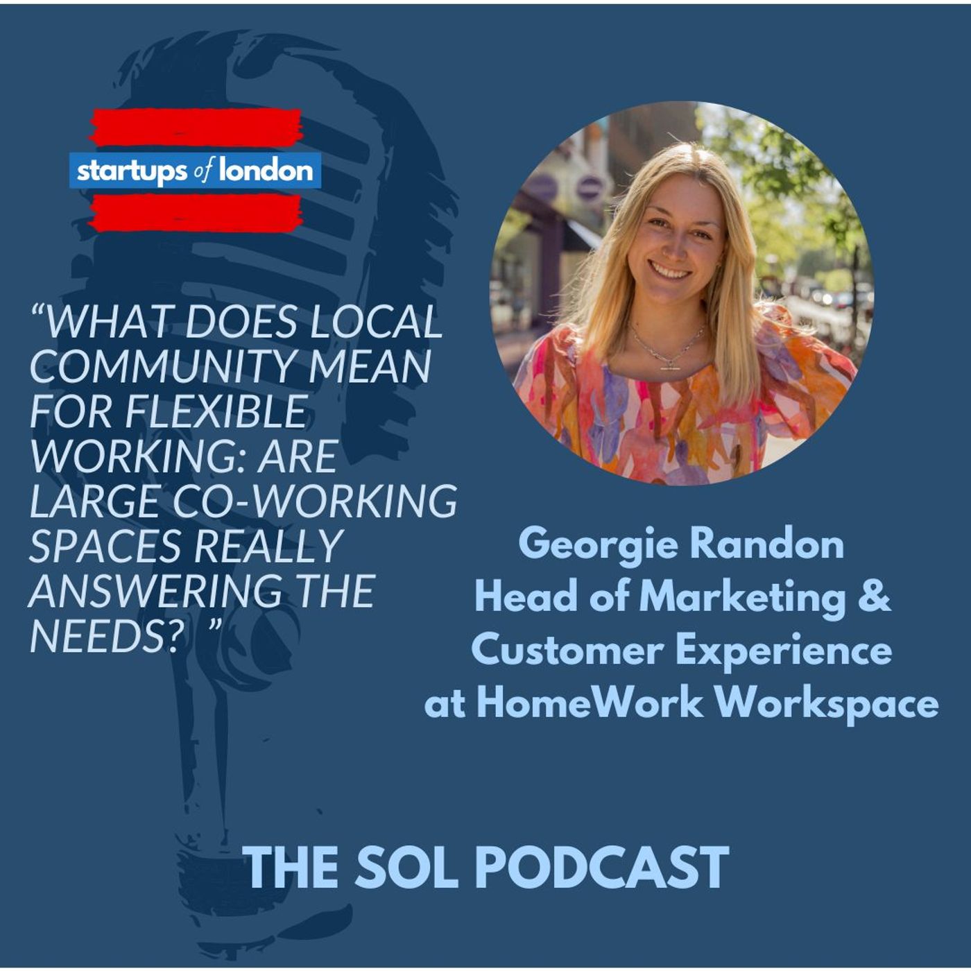 What Does Local Community Mean for Flexible Working: Are Large Co-Working Spaces Really Answering the Needs?