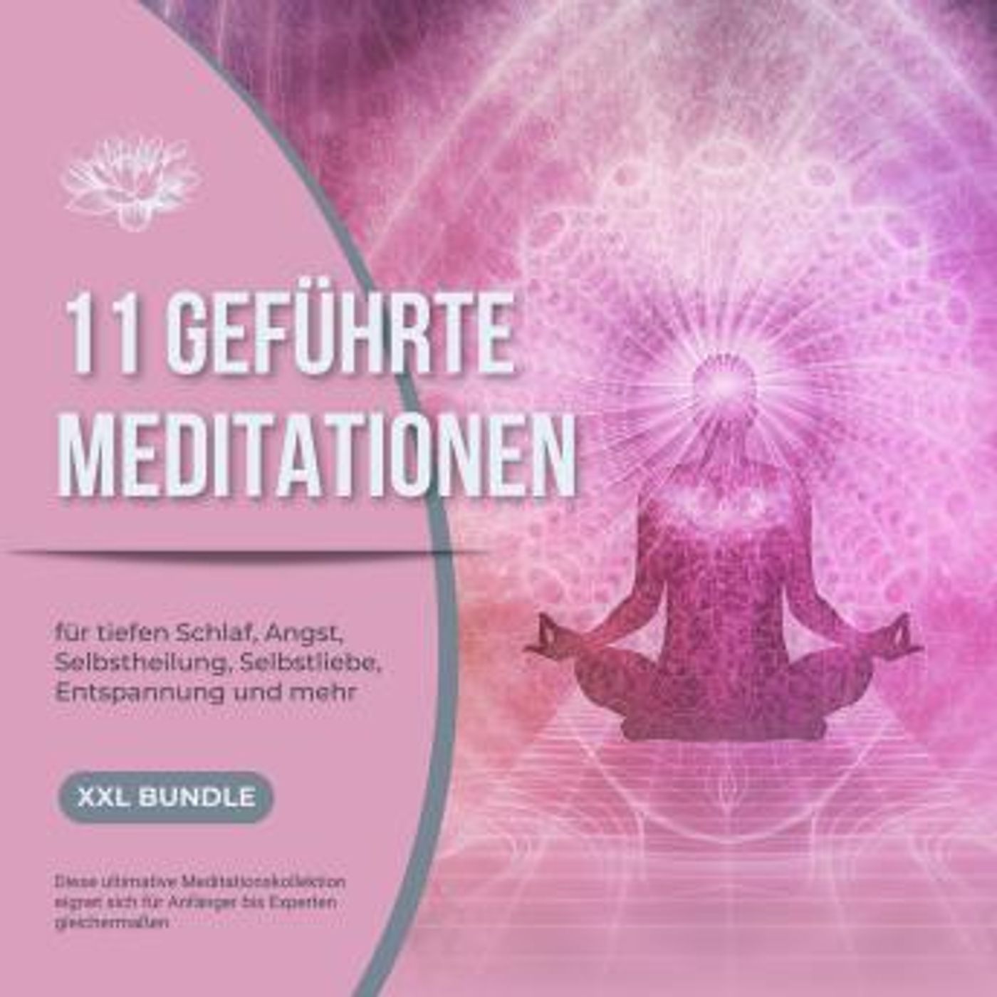 Download Best Full-Length Audiobooks in Health & Wellness, Mindfulness & Meditation