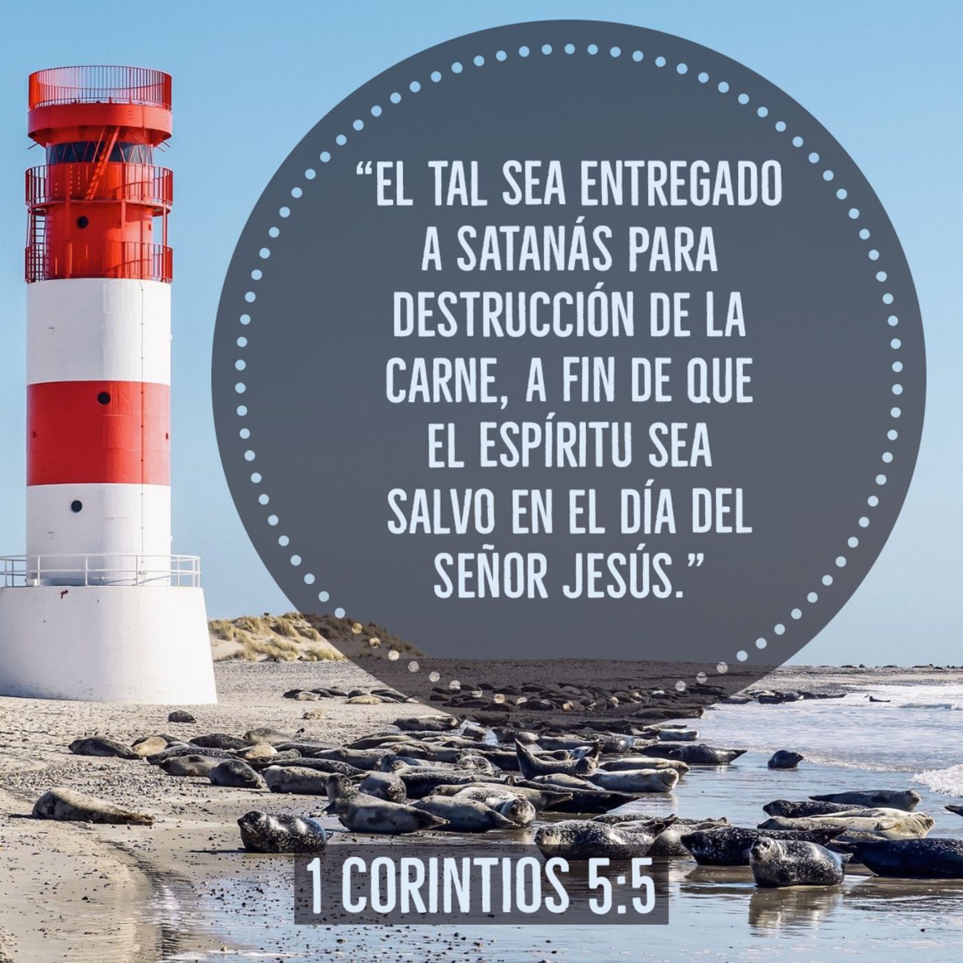 Ministerio UMCD - Un Momento Con Dios | Reflexiones Cristianas