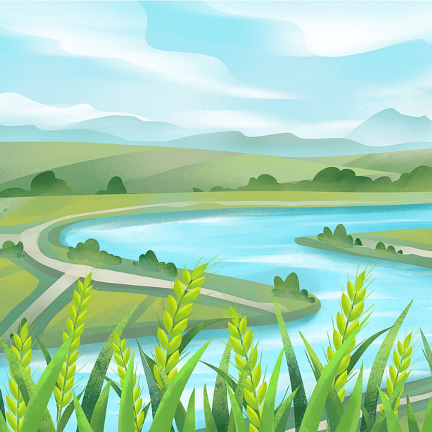 China's grand forest paradox