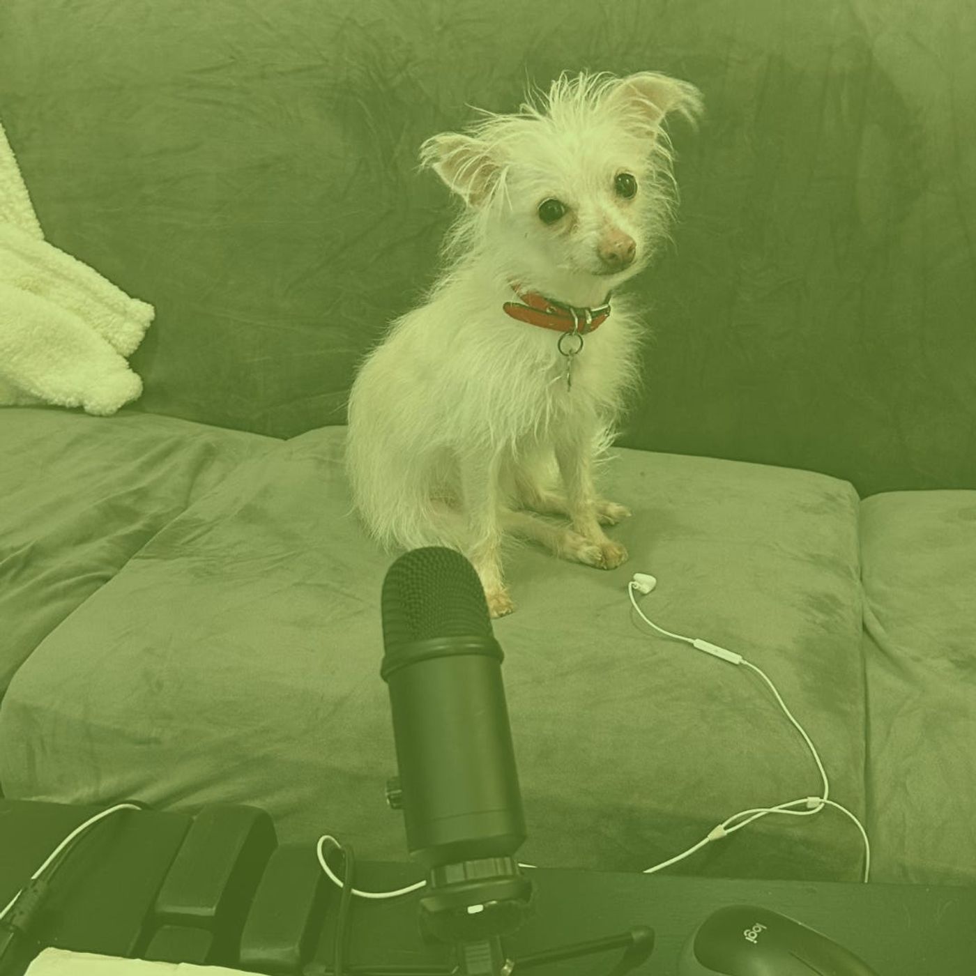 Pickles and Vodka: a Mental Health Podcast
