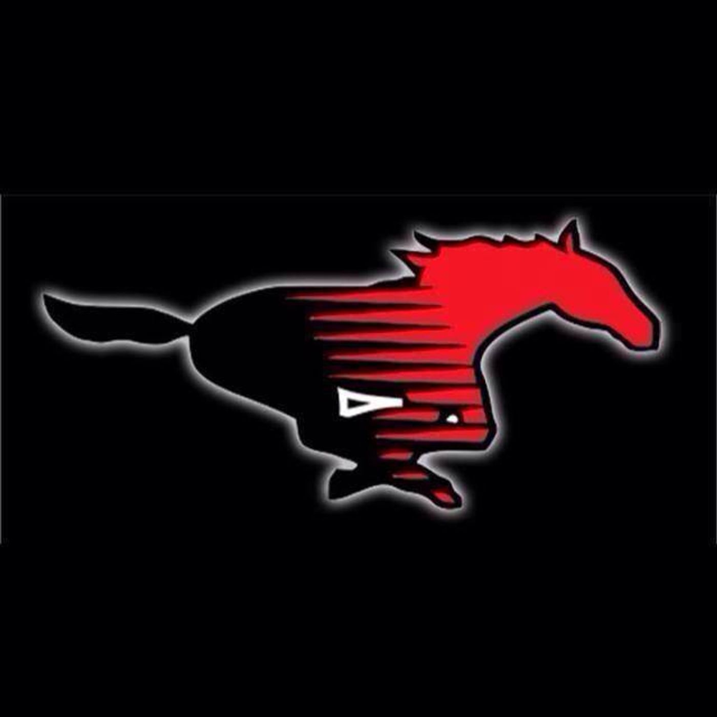 Shallowater Mustangs Basketball