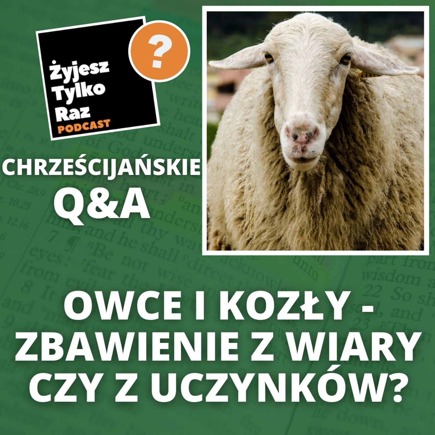 Owce i kozły - zbawienie z wiary czy z uczynków? | Chrześcijańskie Q&A #20
