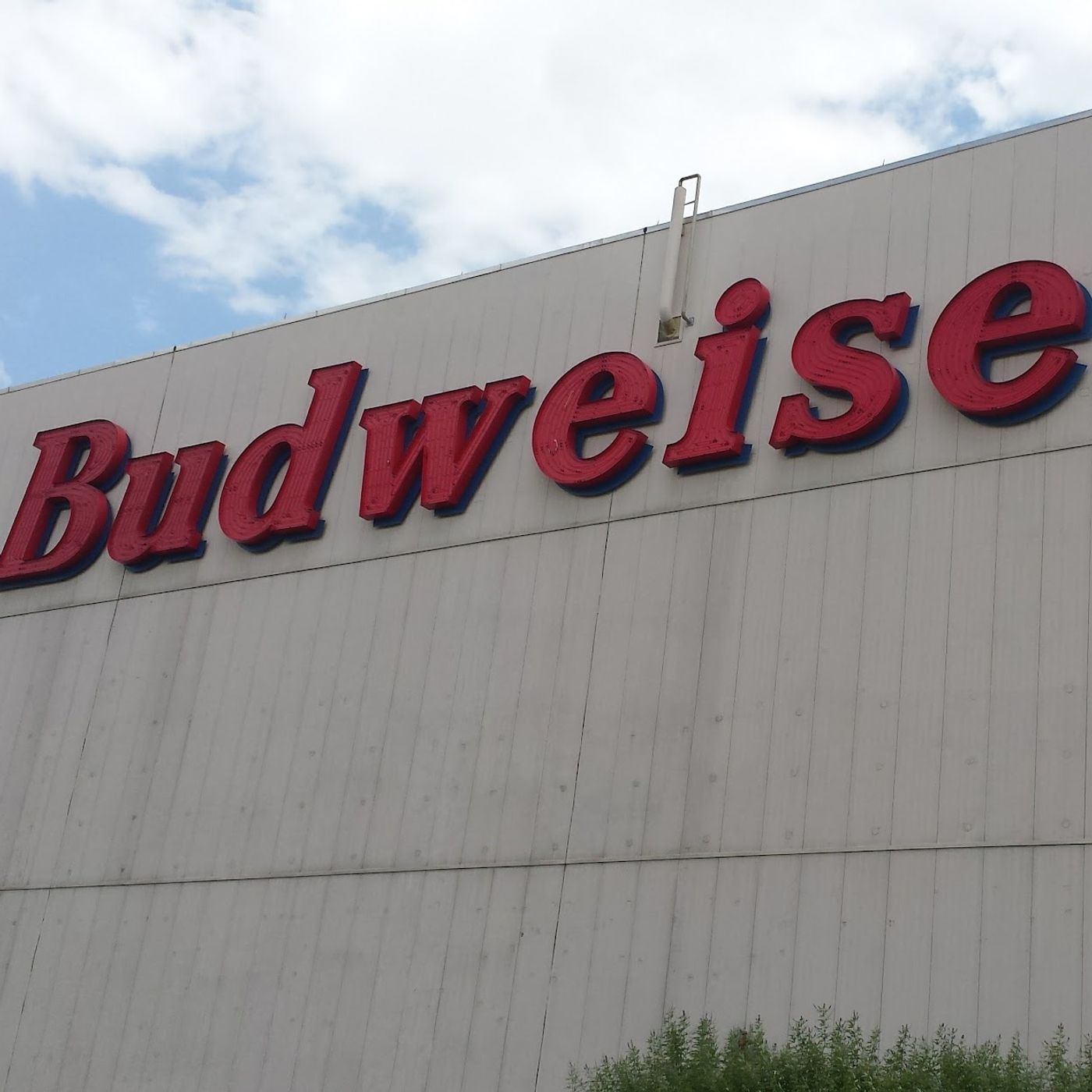 Budweiser Takes a Page from Willy Wonka's Marketing Book. episode artwork