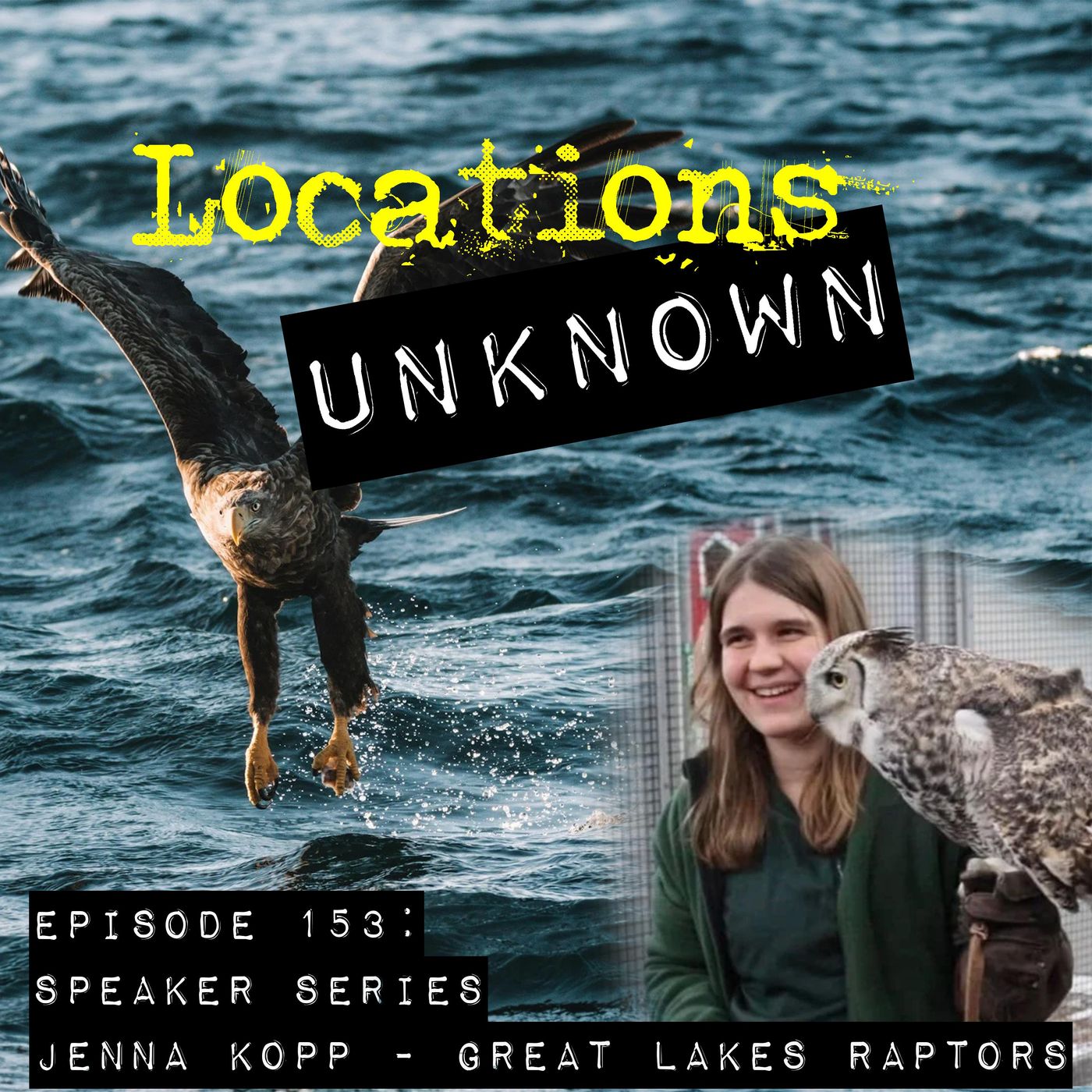 Flight, Fury, and Feathers: Talking Raptors with Jenna Kopp