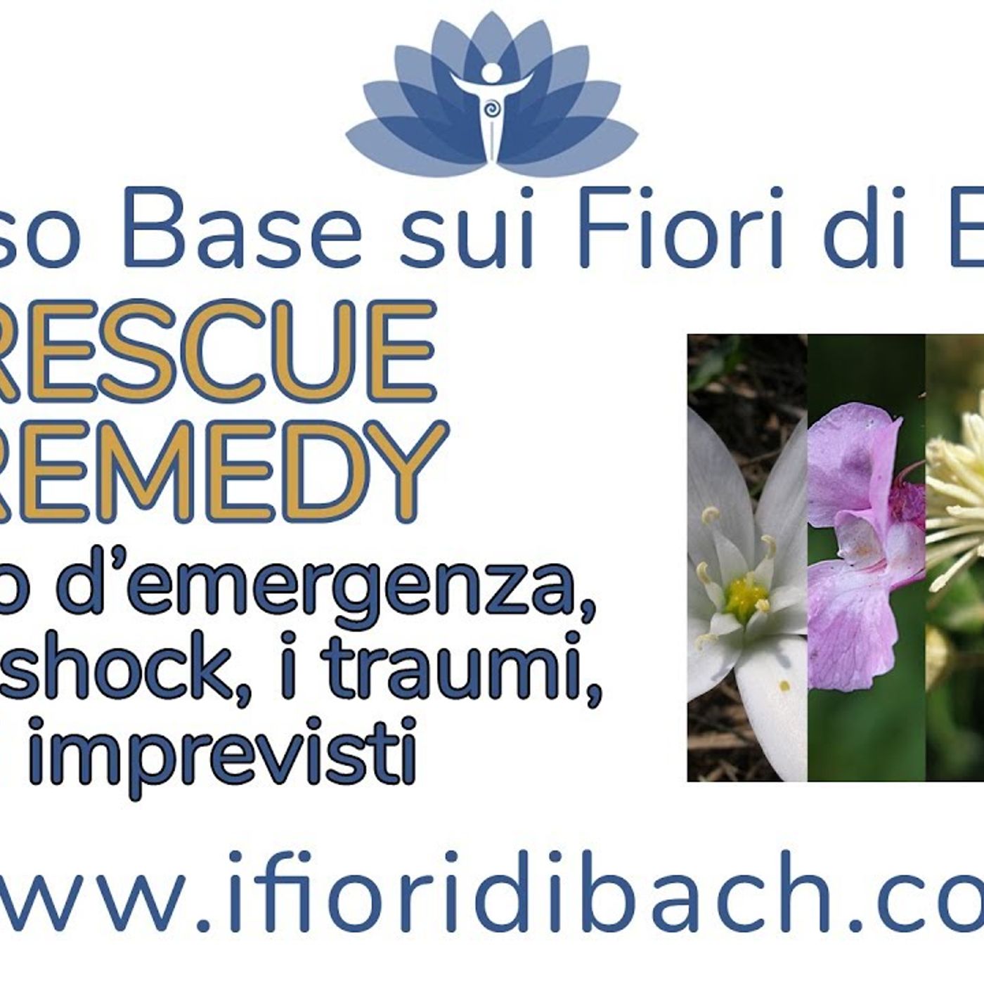 Fiori di Bach in pillole
