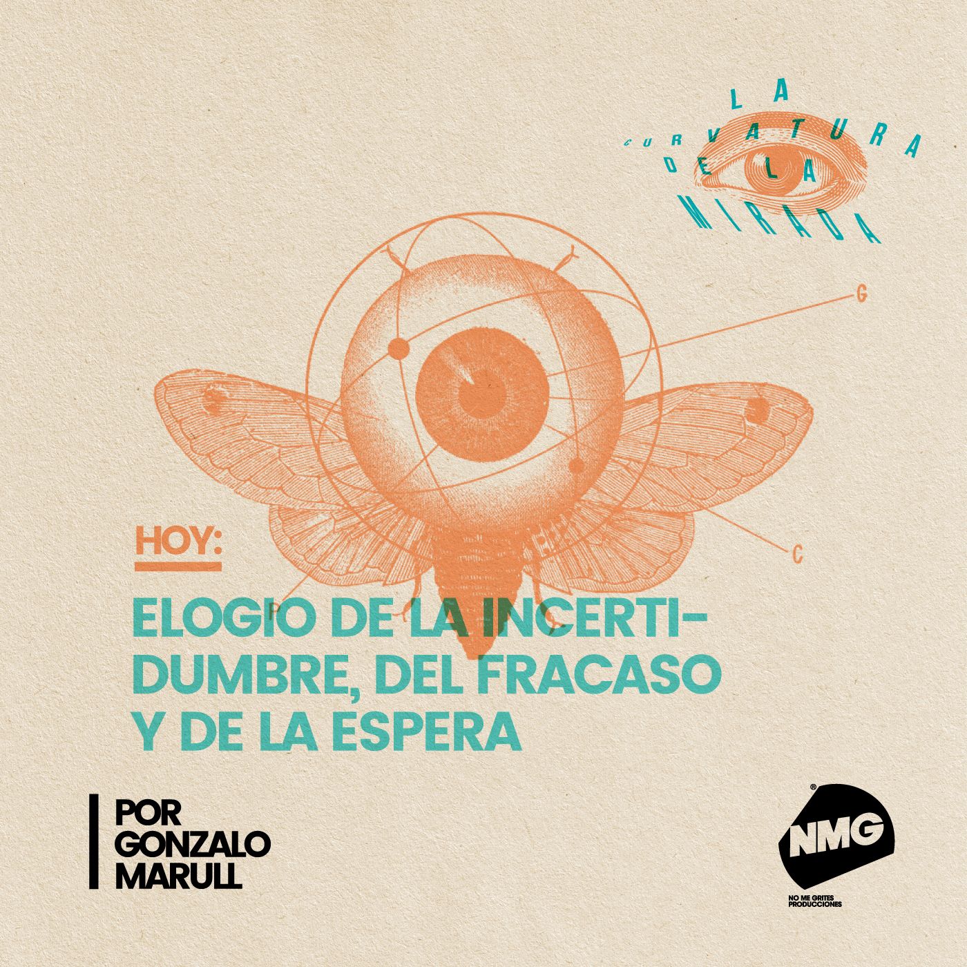 La curvatura de la mirada