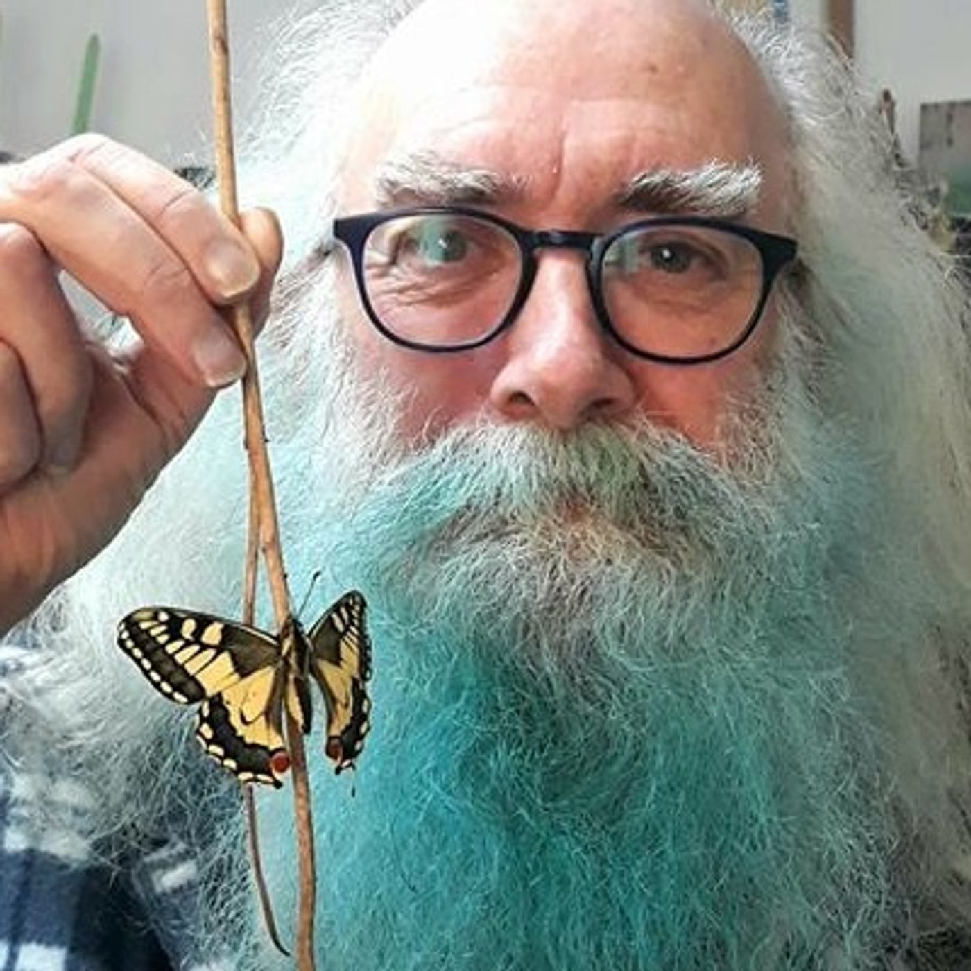 The Pure Portugal Podcast