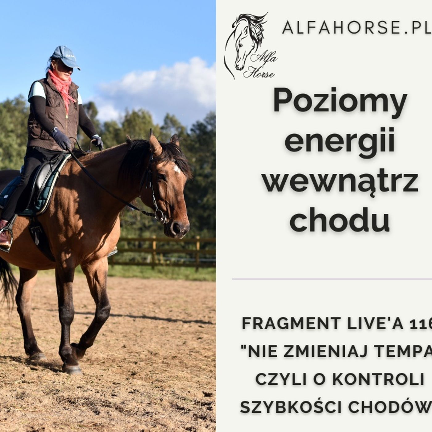 Kontrola poziomów energii w chodzie - fragment Live 116 episode artwork