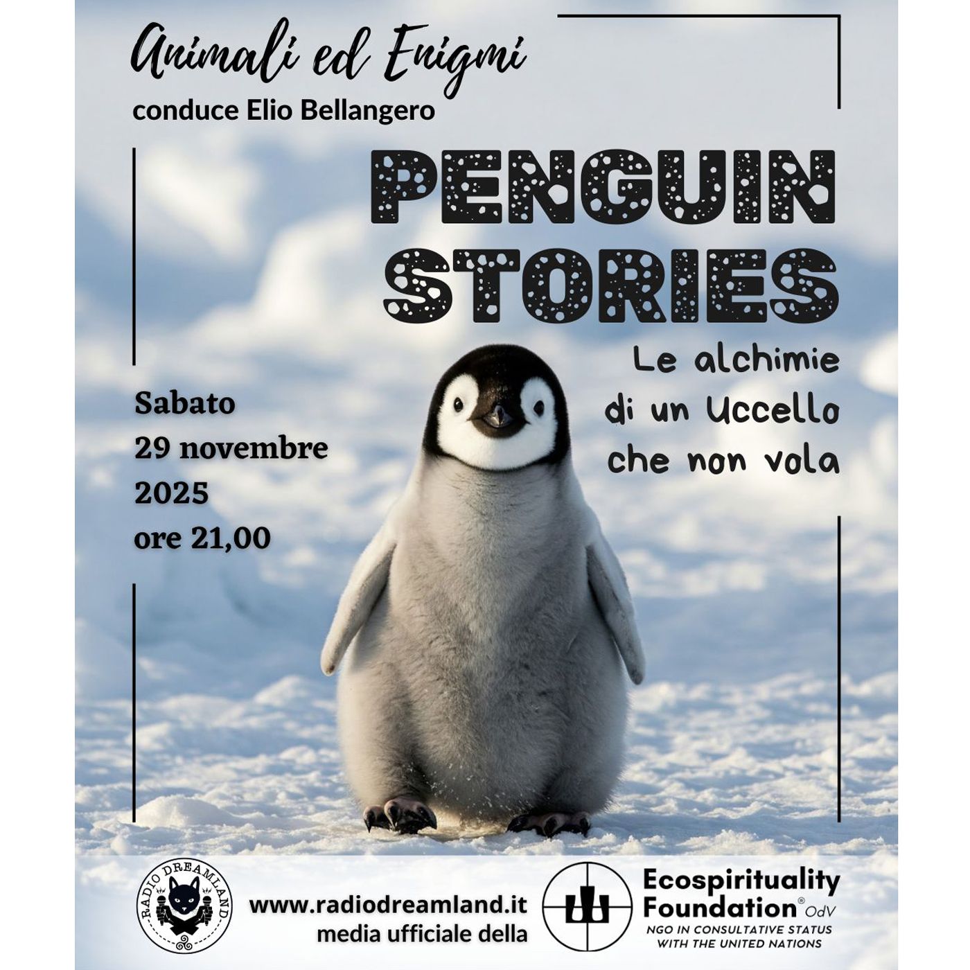 Penguin Stories episode artwork