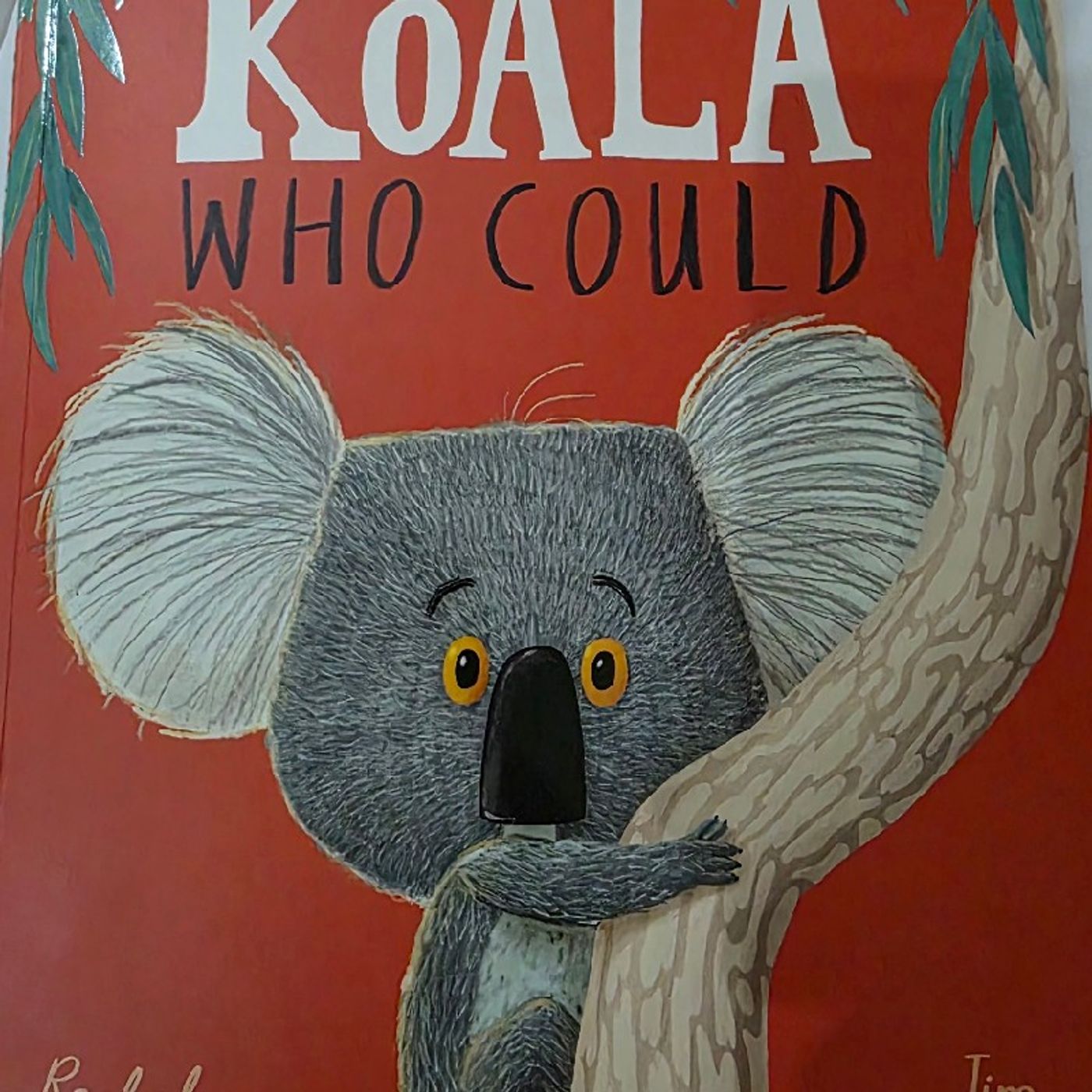 The Koala who Could episode artwork