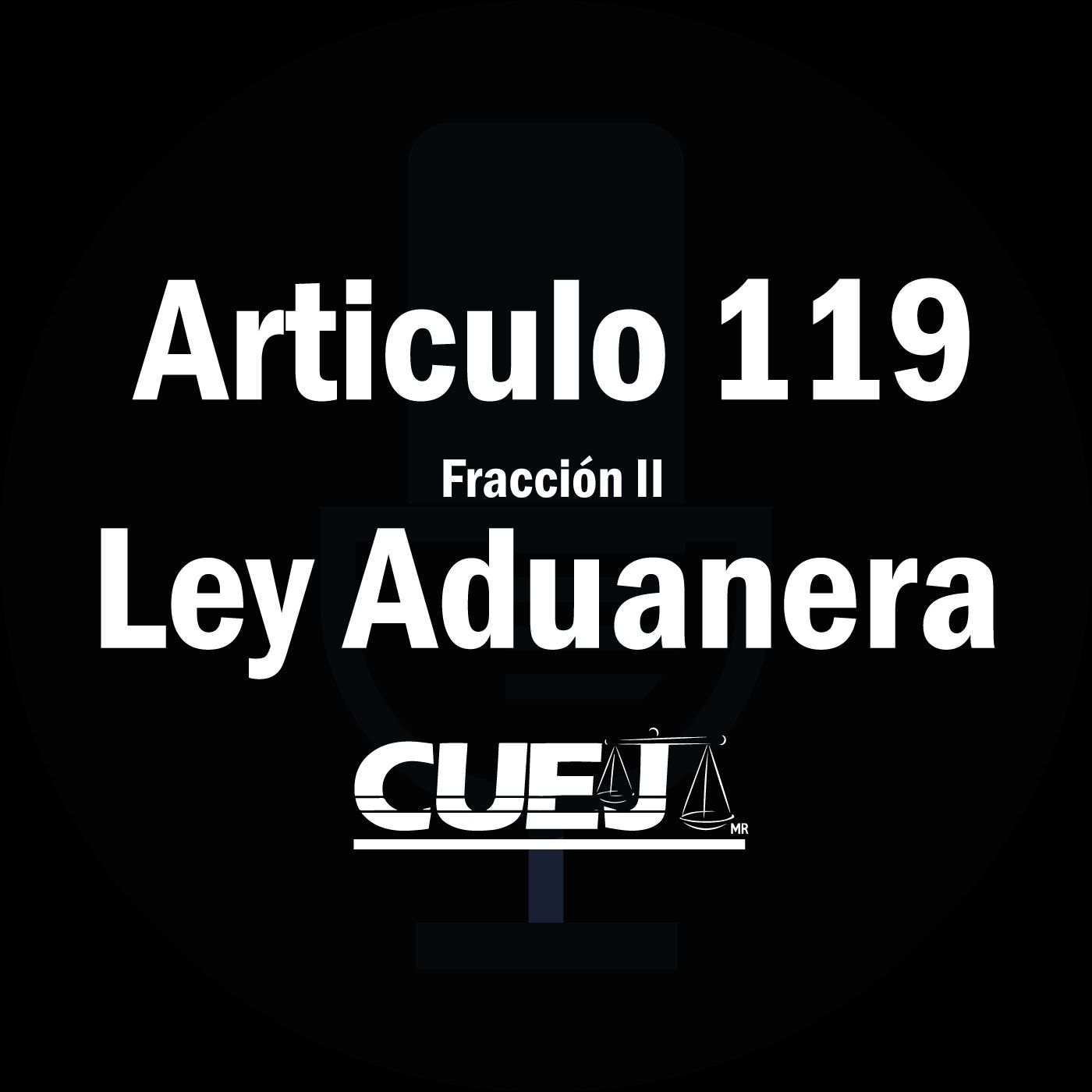 Audio Ley Aduanera