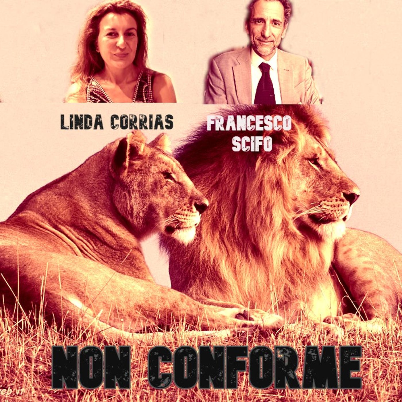 Non Conforme _ Mementino News