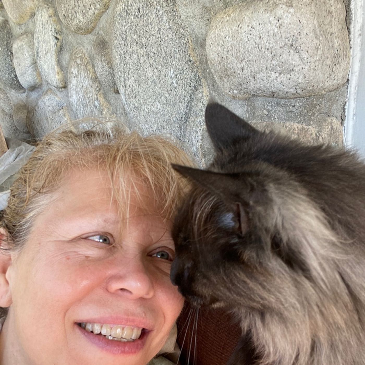 The Traci Shoblom Show
