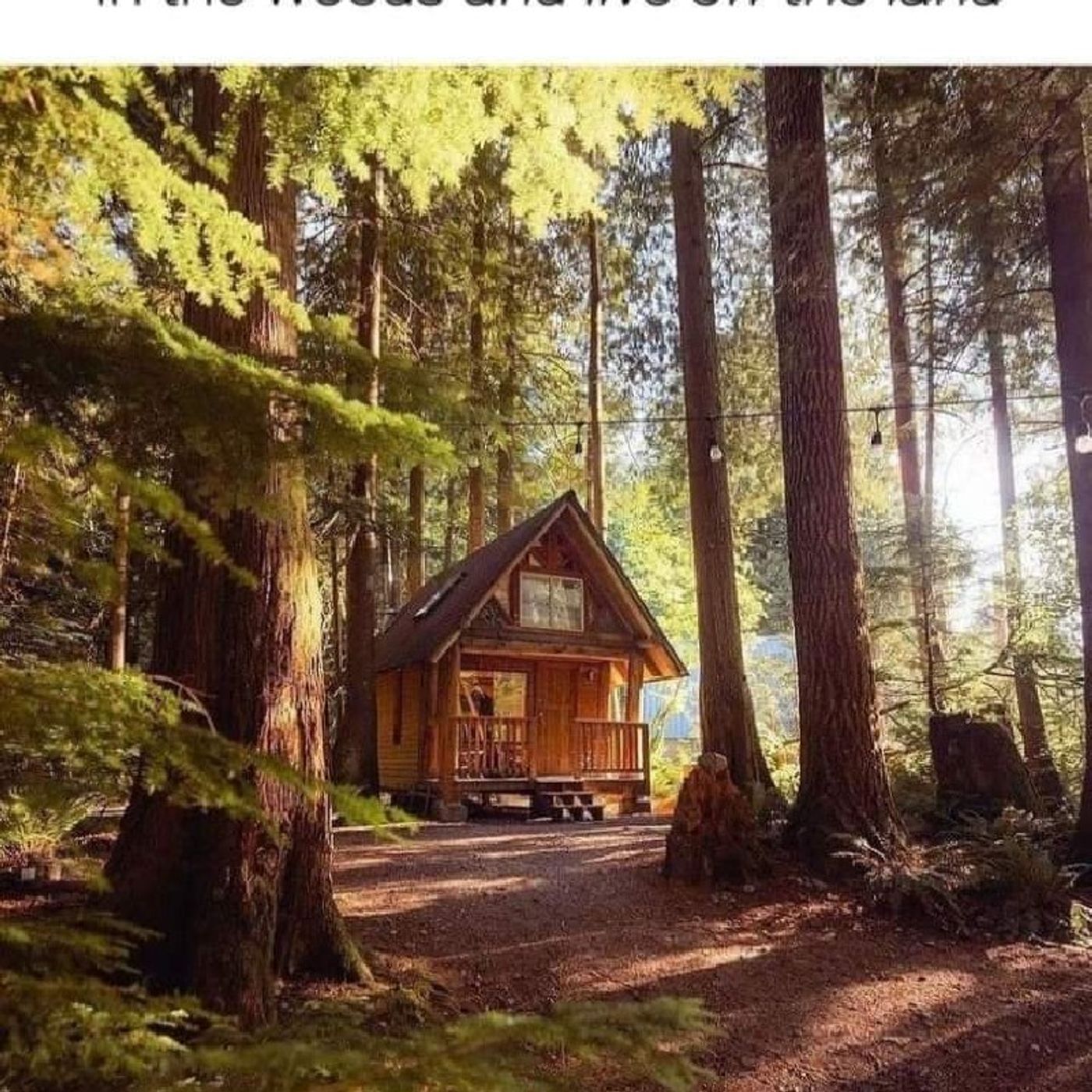 Chris Cannon\'s tracks