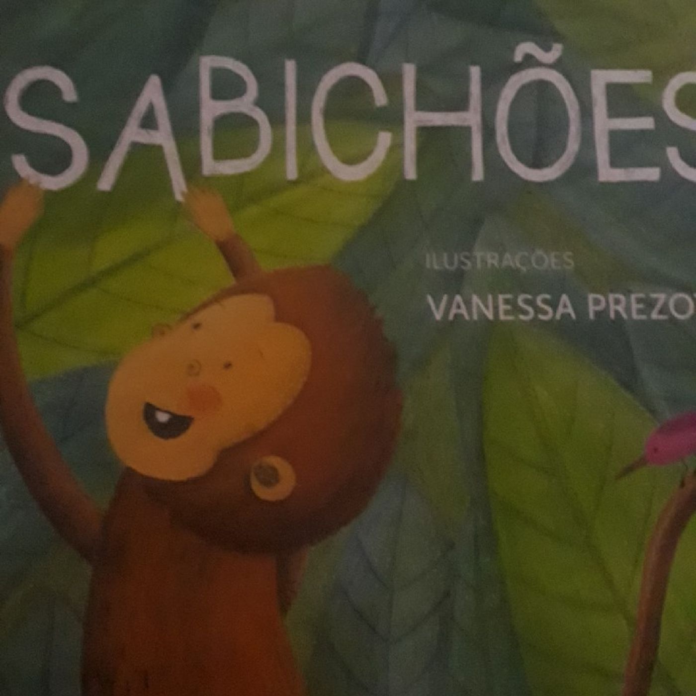 Claudinéia Ferreira dos Santos\'s podcast