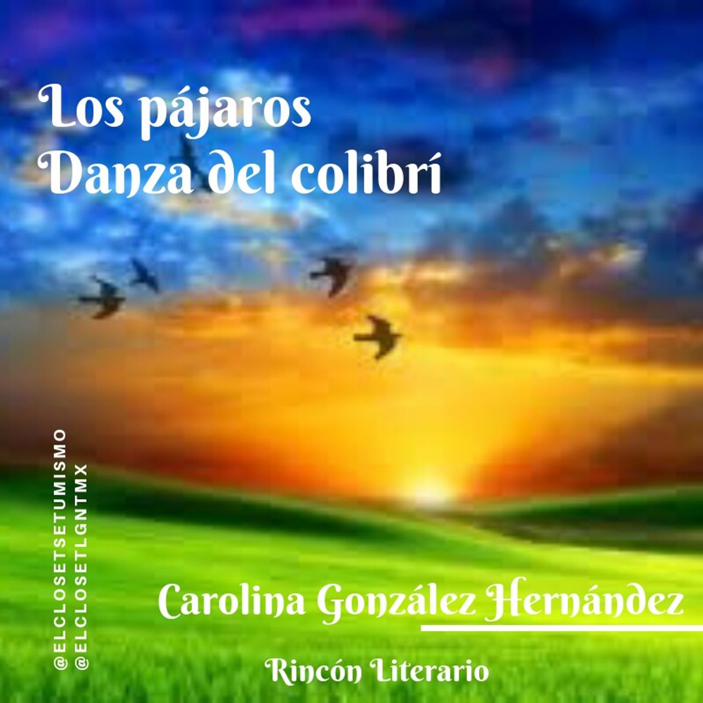 Rincón literario: Los Pájaros y Danza del Colibrí