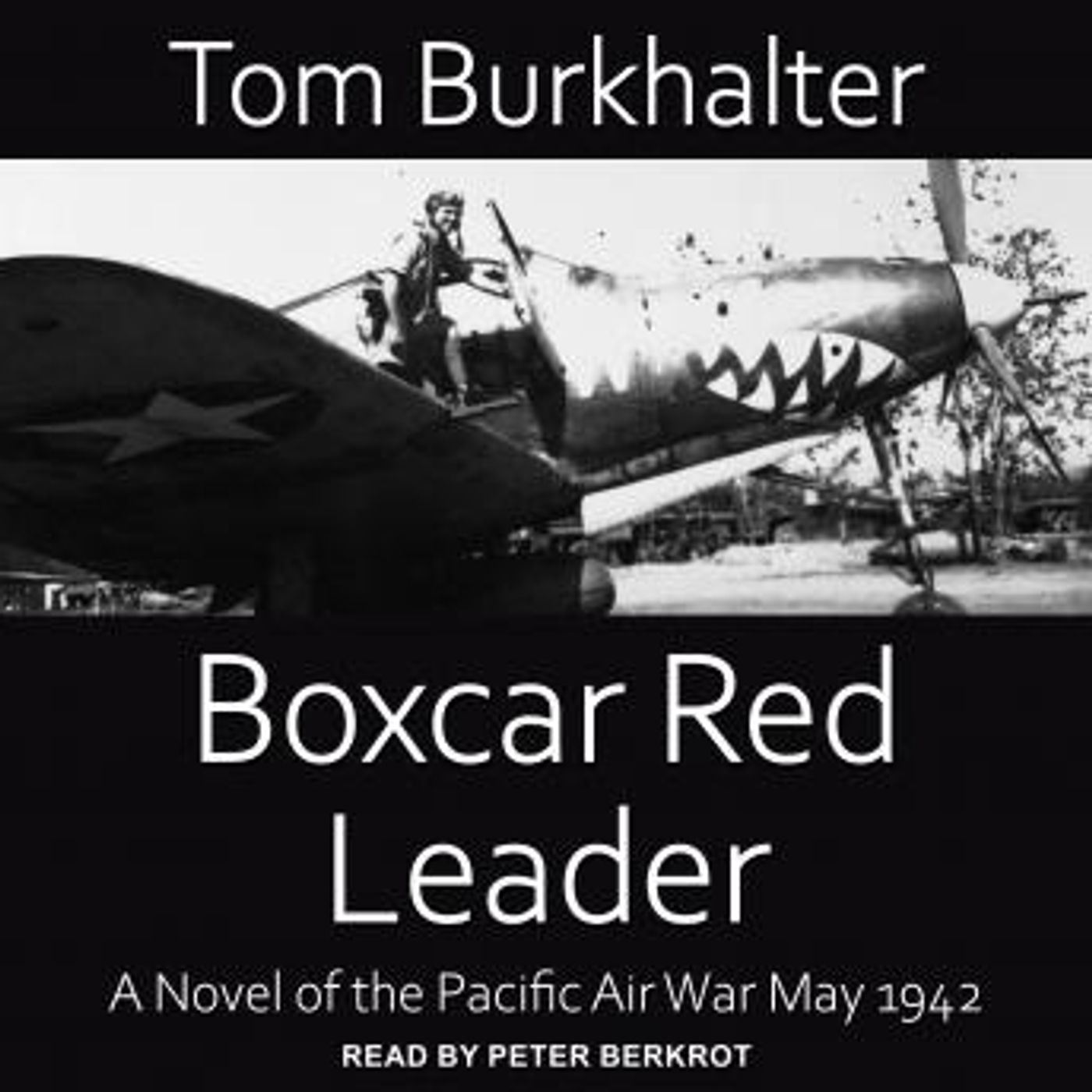 Stream Popular Full Audiobooks in Fiction, Westerns & War