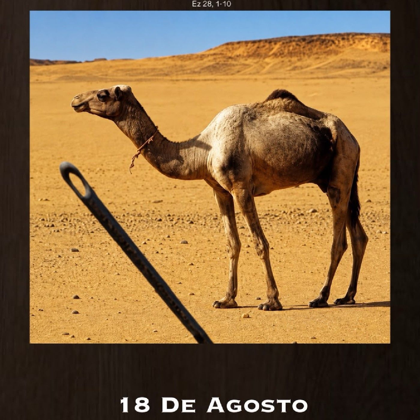 Evangelio de hoy 18 de agosto