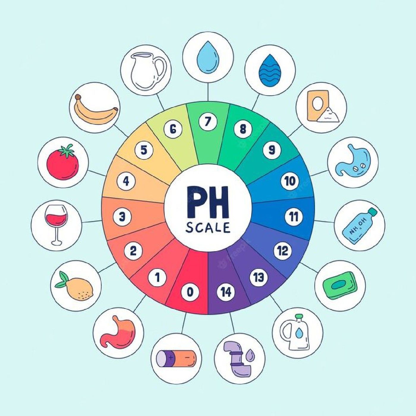El pH y la vida