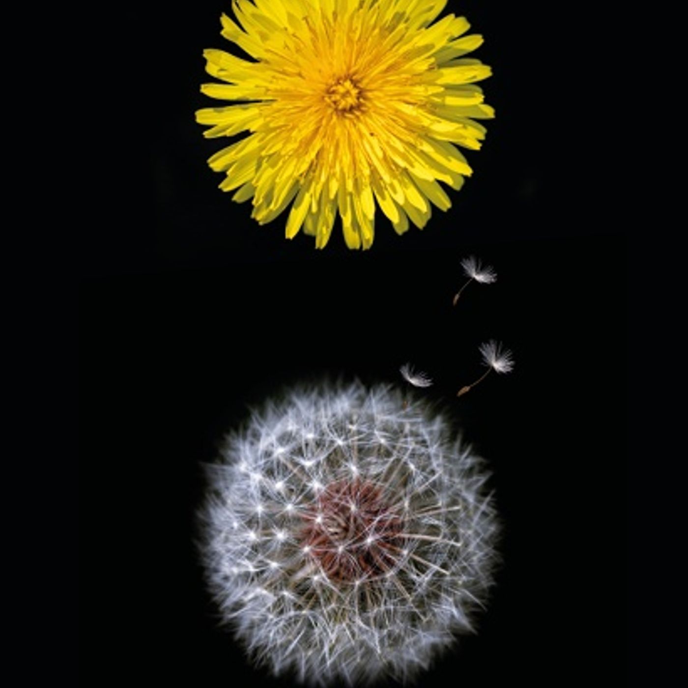 Valentina Gasparet "Pordenonelegge"