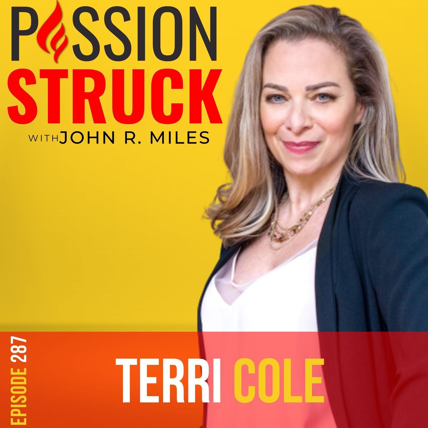 Terri Cole on How to Create Healthy Boundaries & Inner Peace EP 287