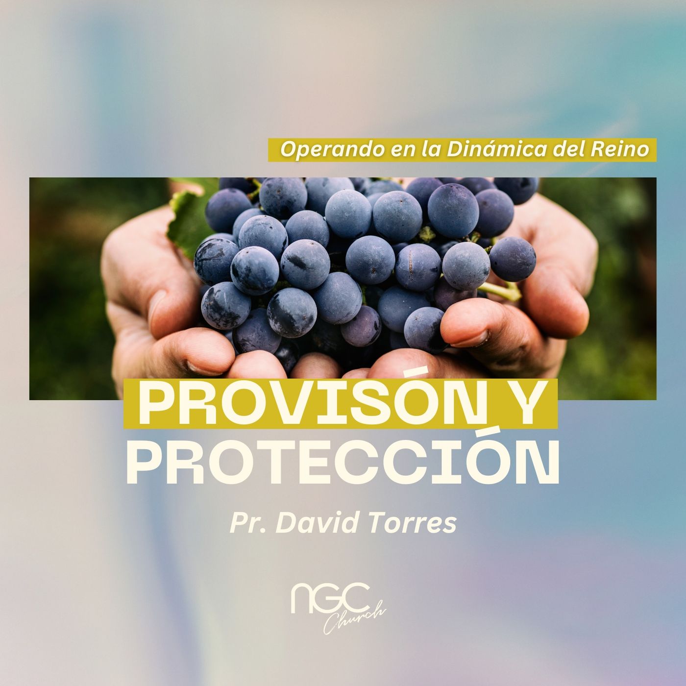 Provisión & Protección | Pr. David Torres | Dinamica del Reino episode artwork