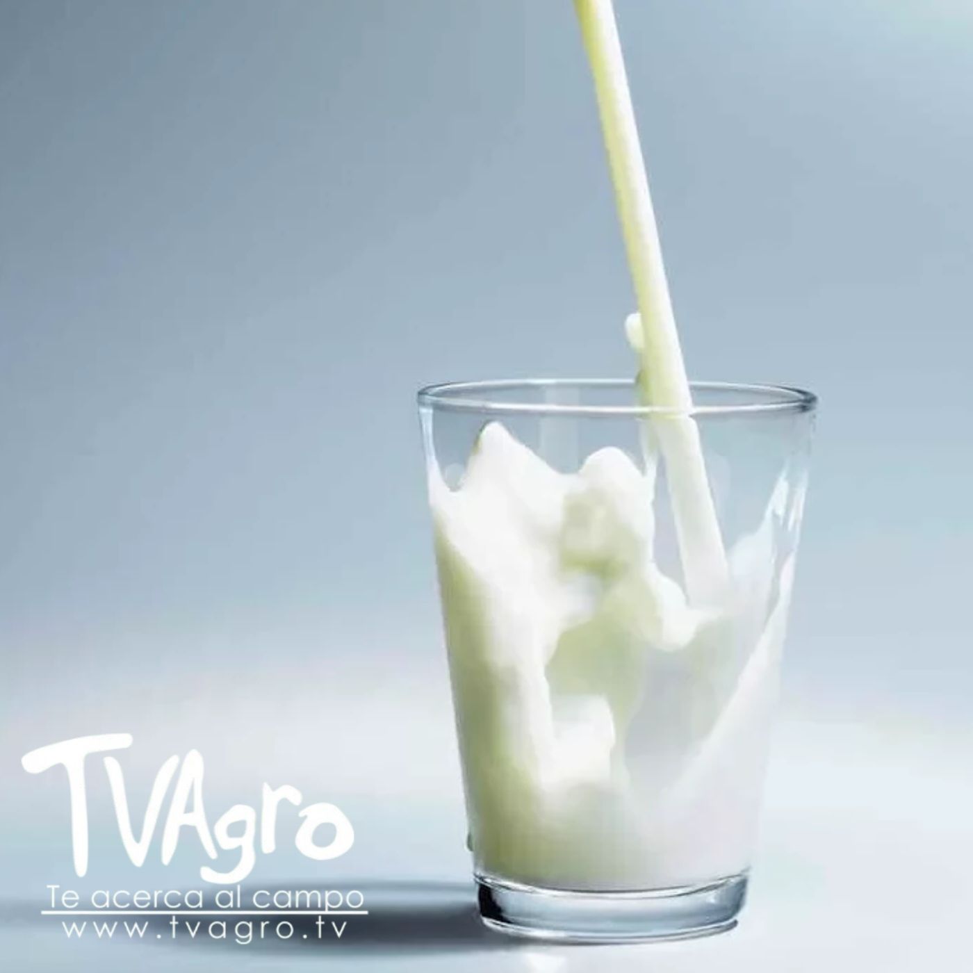 TV AGRO