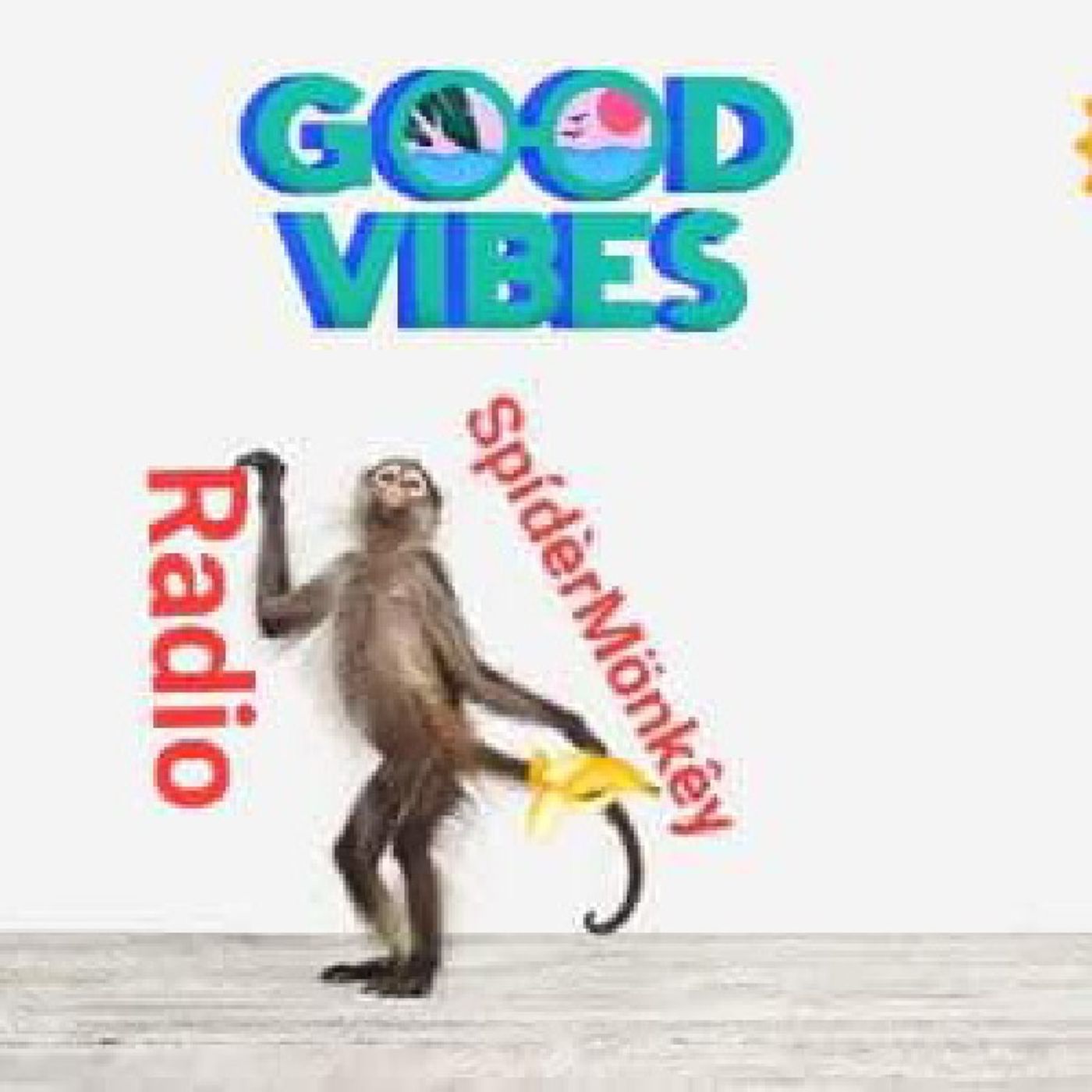 SpídèrMönkêys Hump Day Two Slīçè SpídèrMönkêys Hump Day Two Slīçè