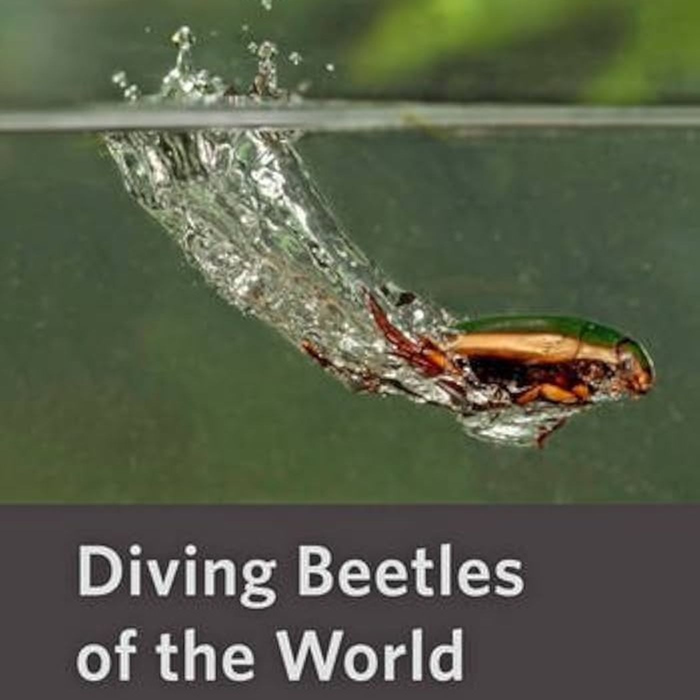 Diving Beetles of the World: Systematics and Biology of the Dytiscidae by Kelly B. Miller