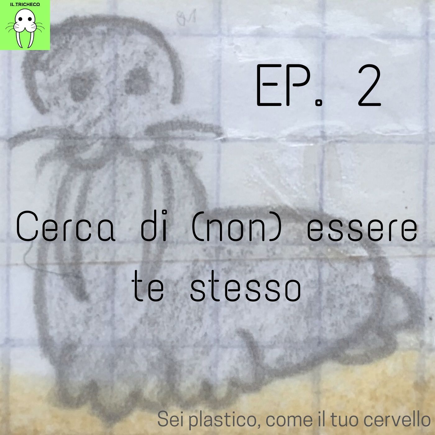 Il Tricheco