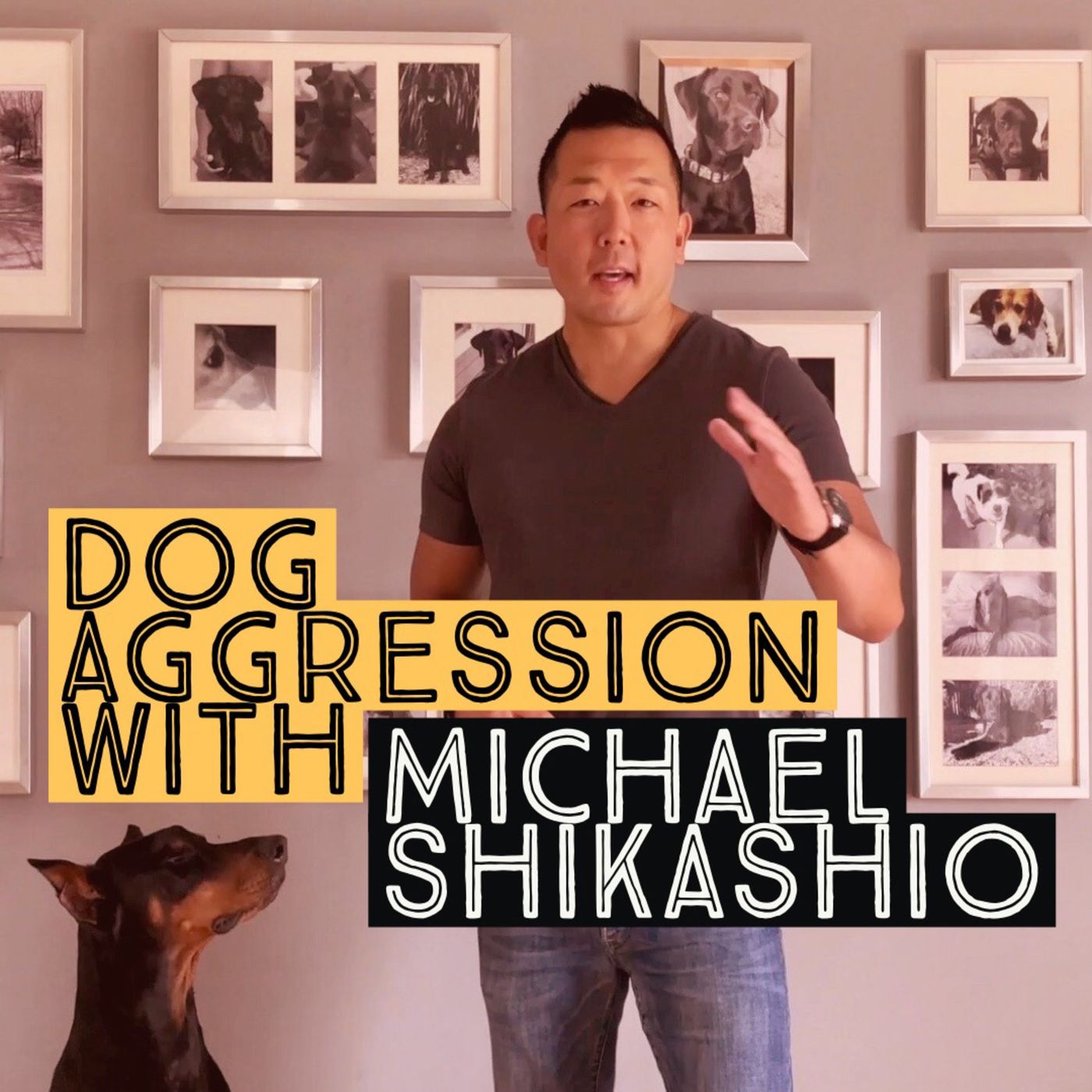 Aggression in Dogs: Michael Shikashio