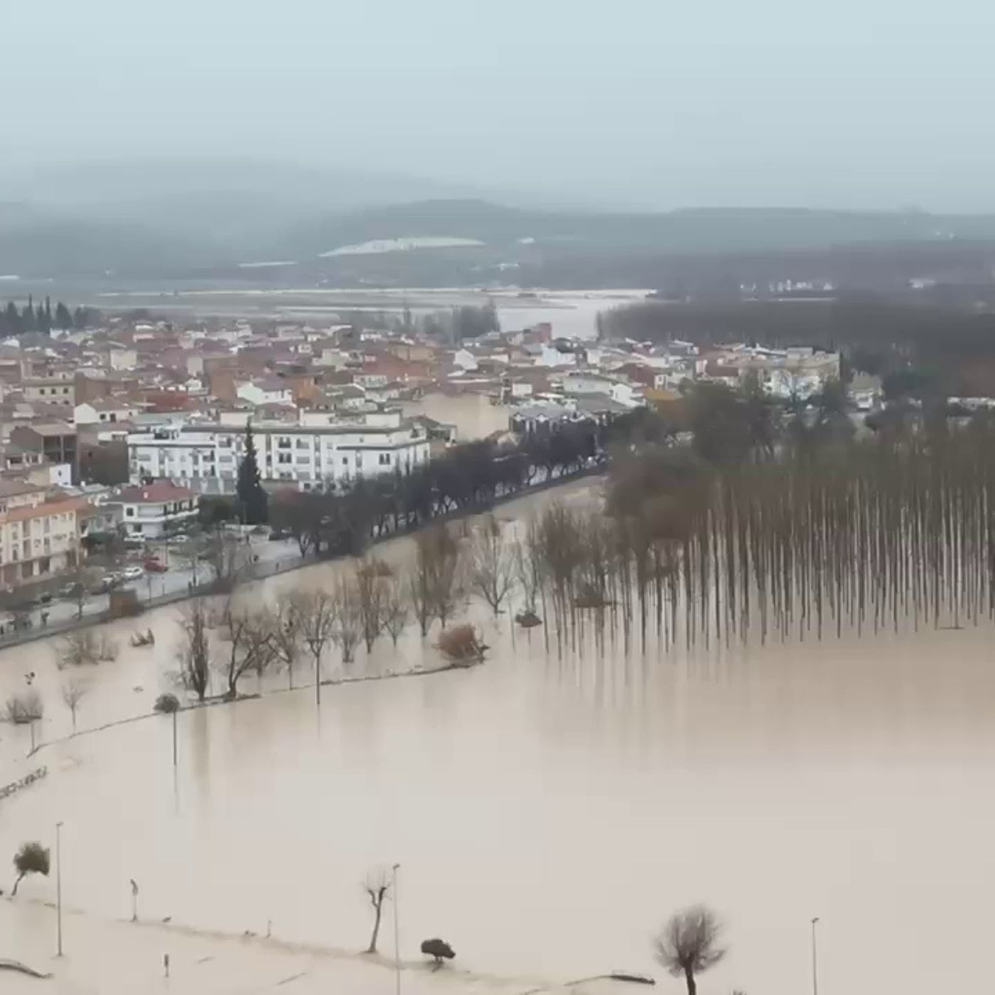 Tertulia: Las inundaciones por la borrasca Leonardo, el logro del doctor Barbacid con el cáncer y la prensa internacional contra Sánchez (04 episode artwork