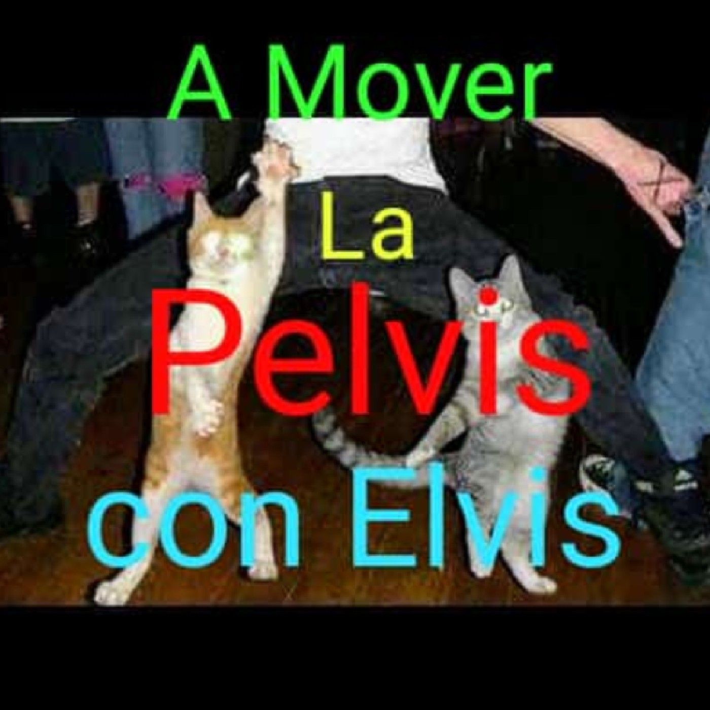 A Mover La Pelvis Con Elvis