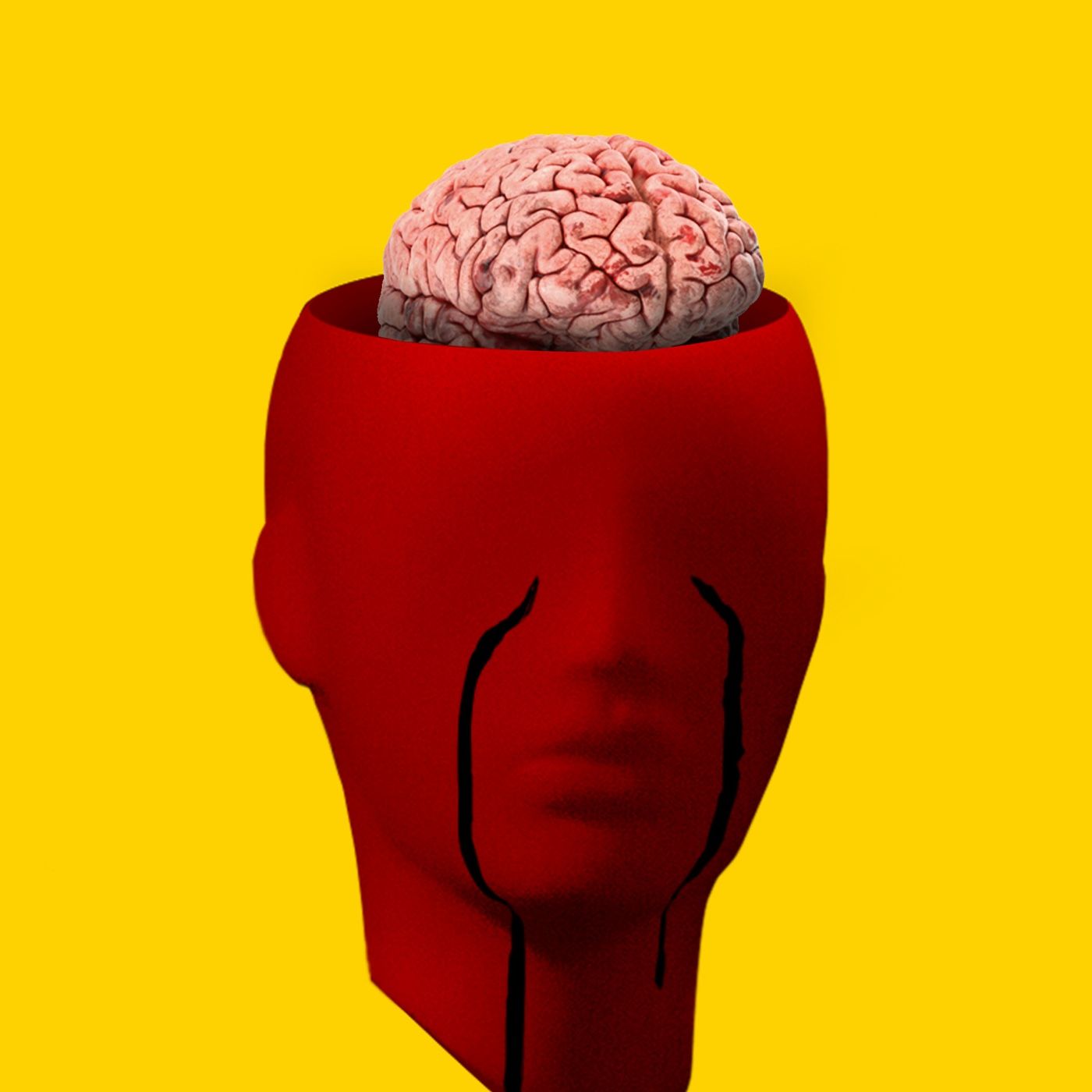 INTELIGENCIA EMOCIONAL