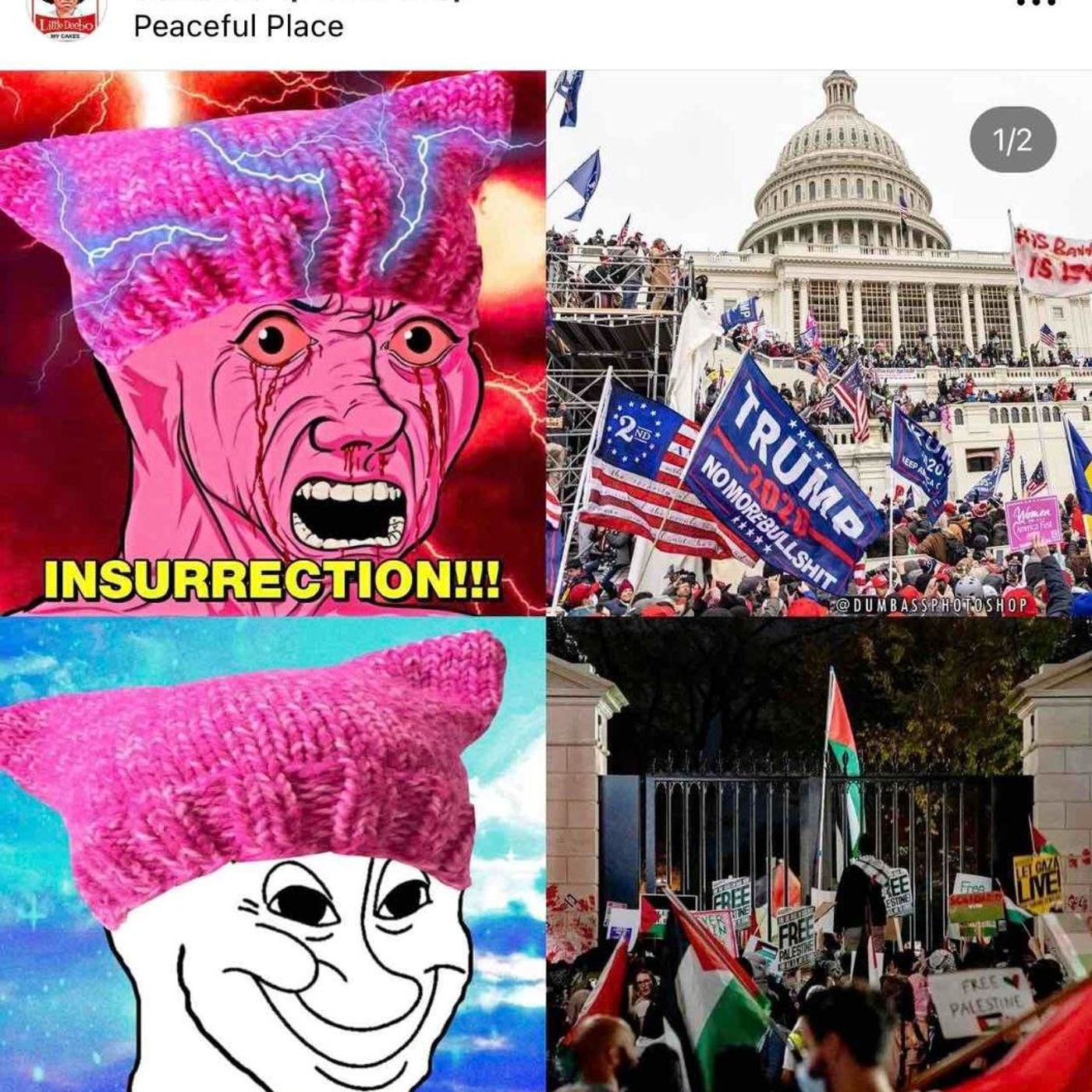 Insurrection is that what we only call Right Wing Protests?. Seems like it...