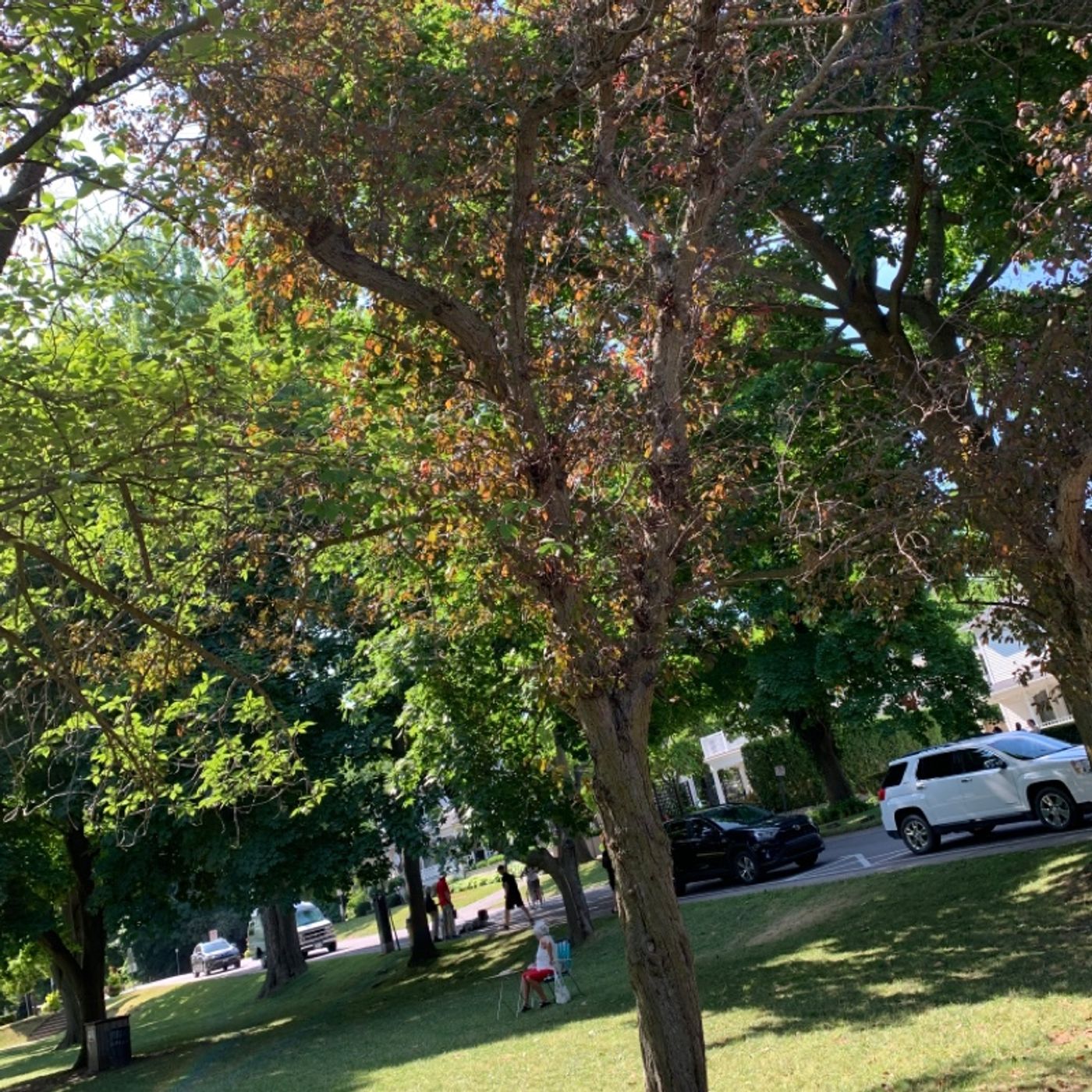 Prayer on the Go! - with Bishop Deb