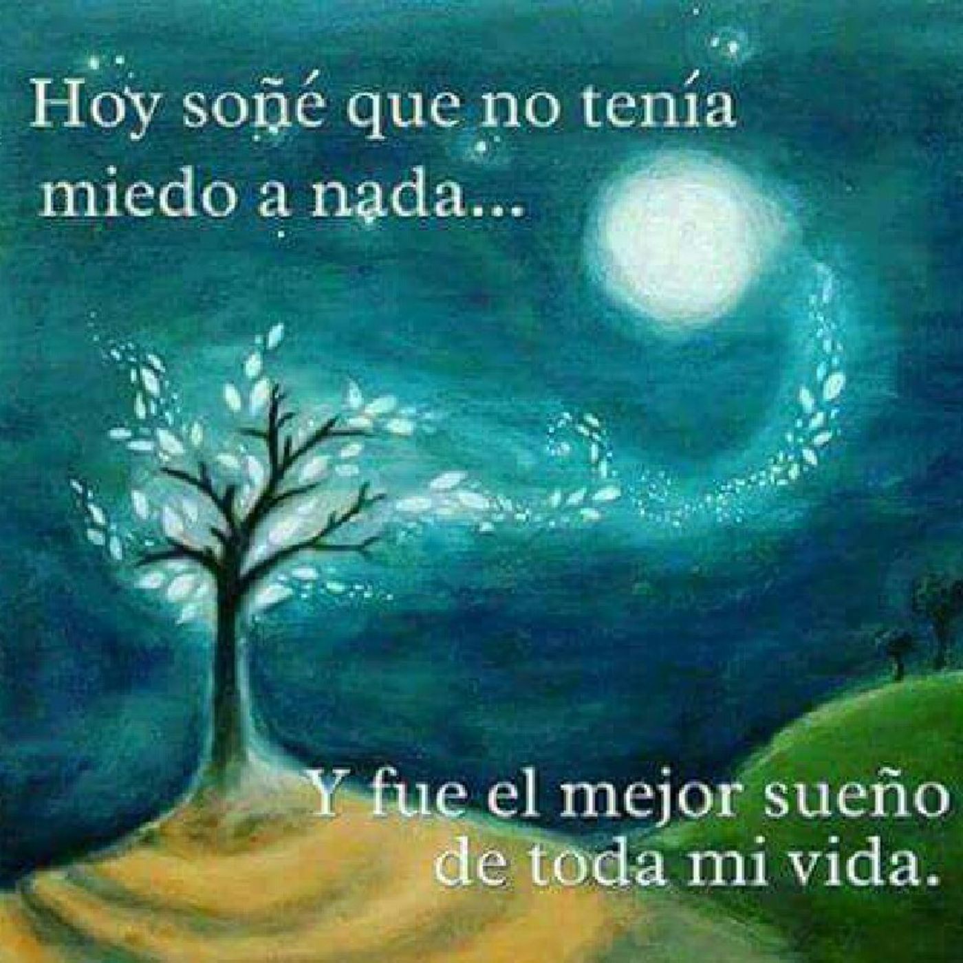 Mysteria Rose Paavo Ylonen\'s tracks