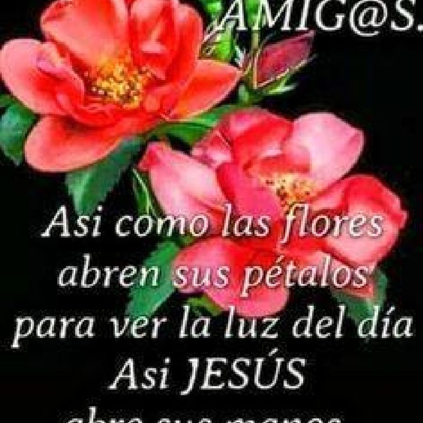 El Poder Del Evangelio de AProCristiano