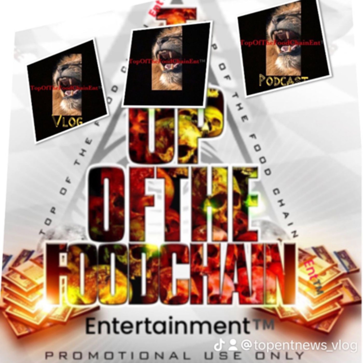 TopOfTheFoodChainEnt.™️/Podcast Show