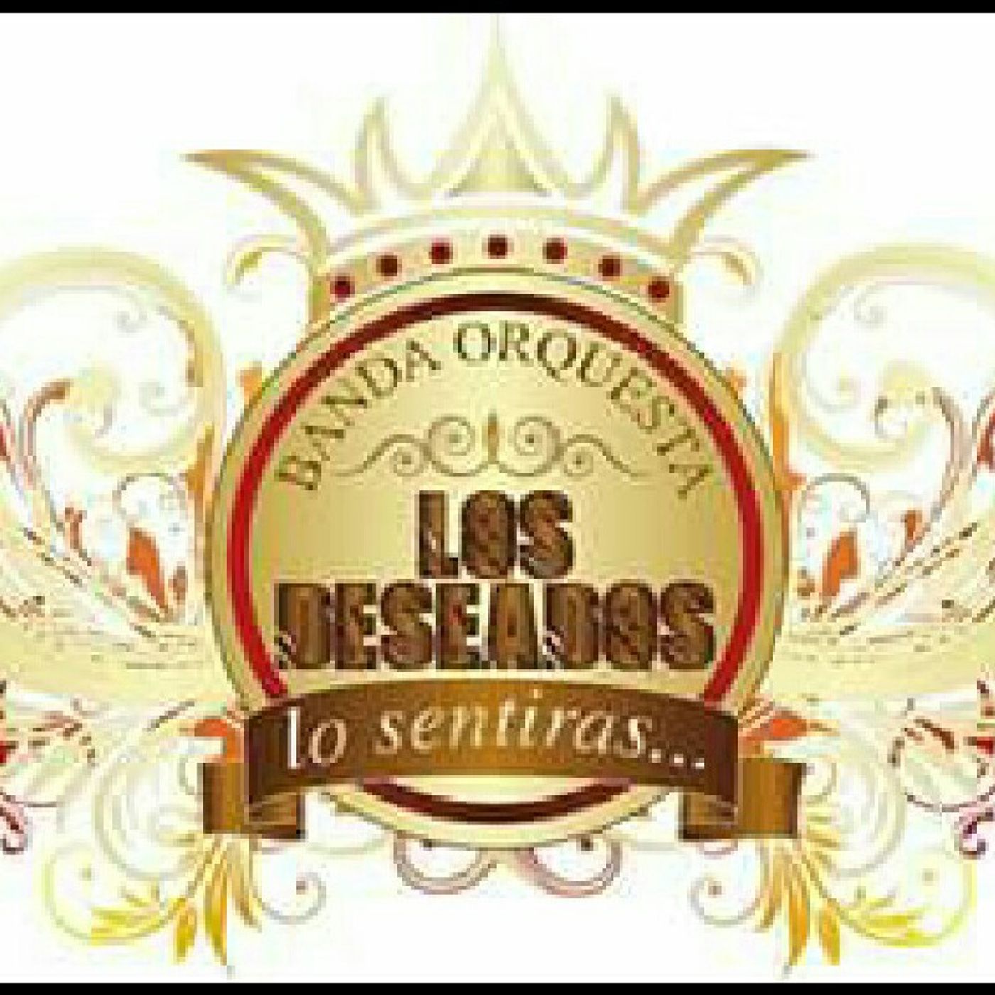 El show de banda orquesta jr