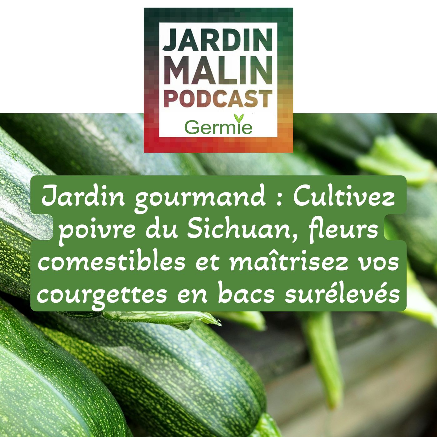 Cultivez poivre du Sichuan, fleurs comestibles et maîtrisez vos courgettes en bacs surélevés