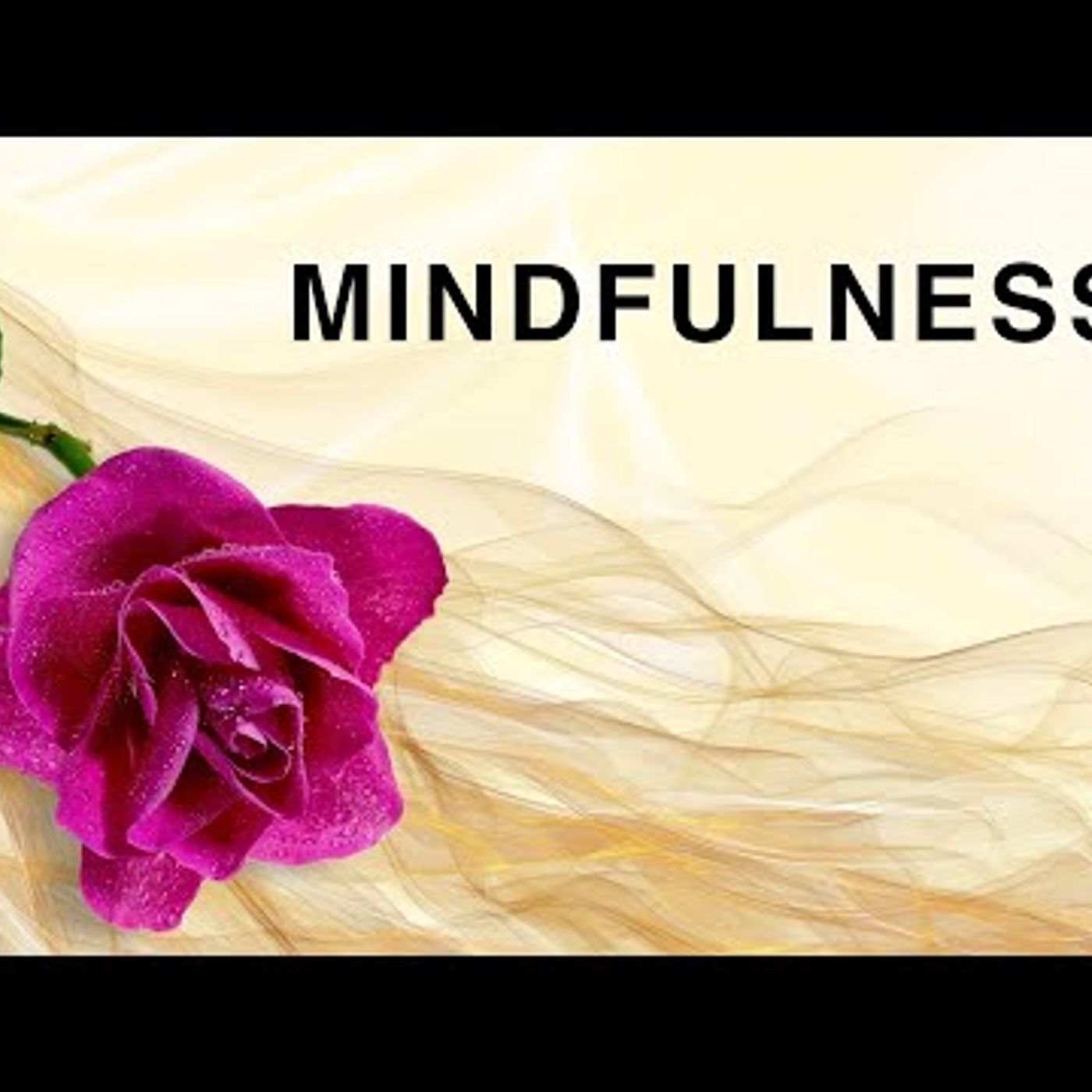 165. Meditación Avanzada Mindfulness 10 minutos