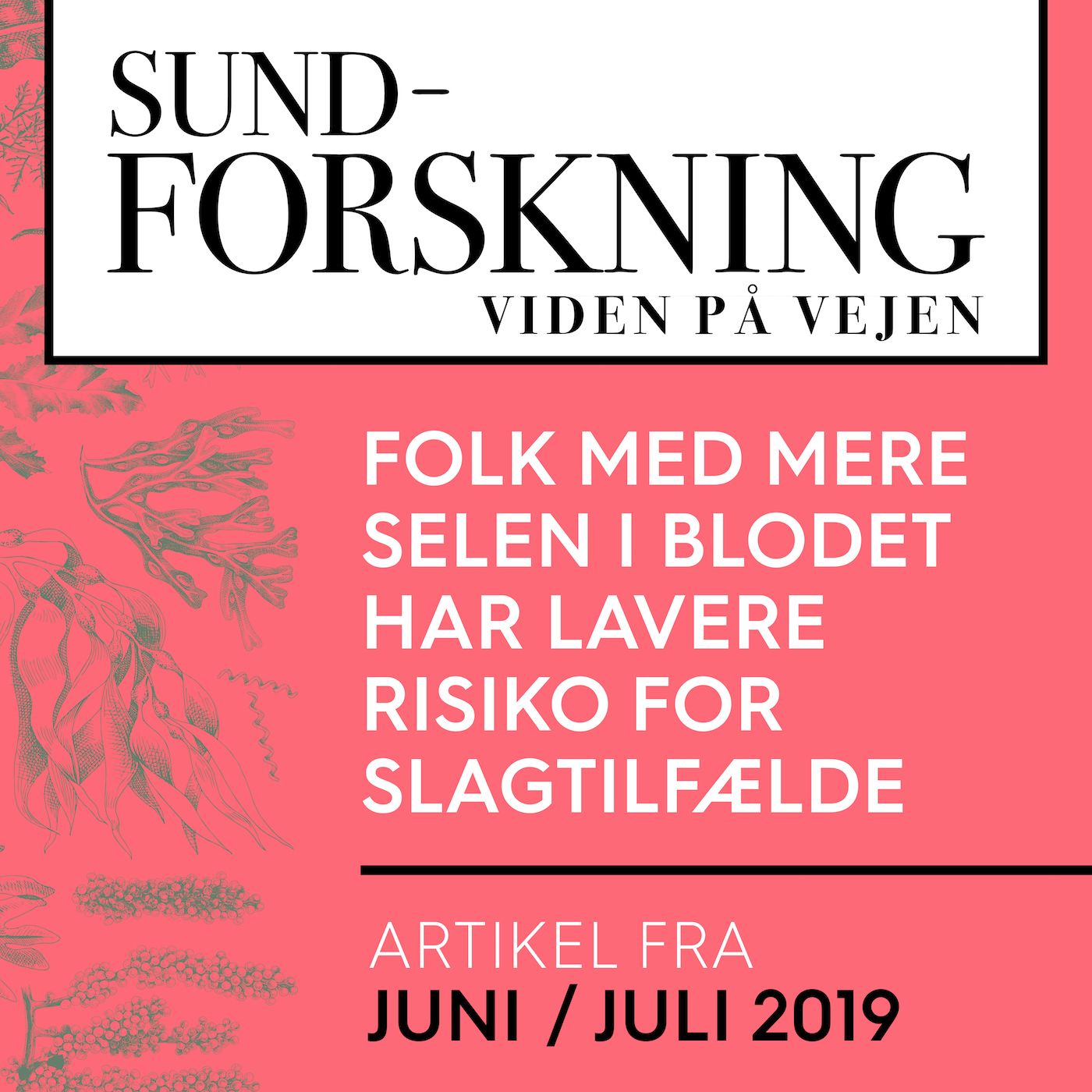 SUND-FORSKNING